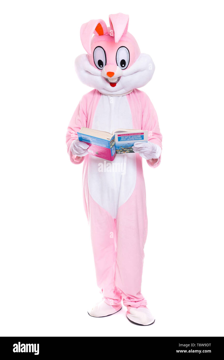 Dimensioni di vita costume di coniglio con libro su sfondo bianco. Coniglietto pasquale per legge il libro, ottiene un istruzione, cercando di essere intelligenti Foto Stock