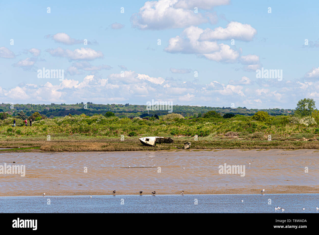 Il vecchio marciume scafo di imbarcazione in legno spiaggiata sulla riva del fiume Blackwater a Maldon Essex, UK. Walkers sulla banca del cielo Foto Stock