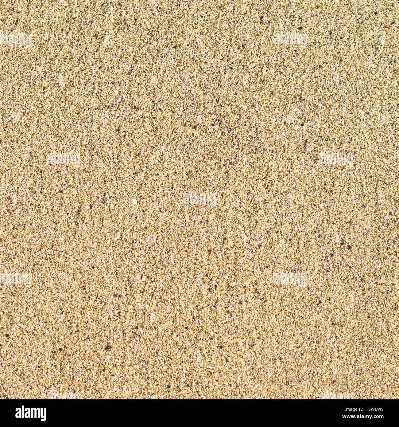 Vista superiore della riva del mare, sabbia pulita texture di superficie naturale. Foto Stock