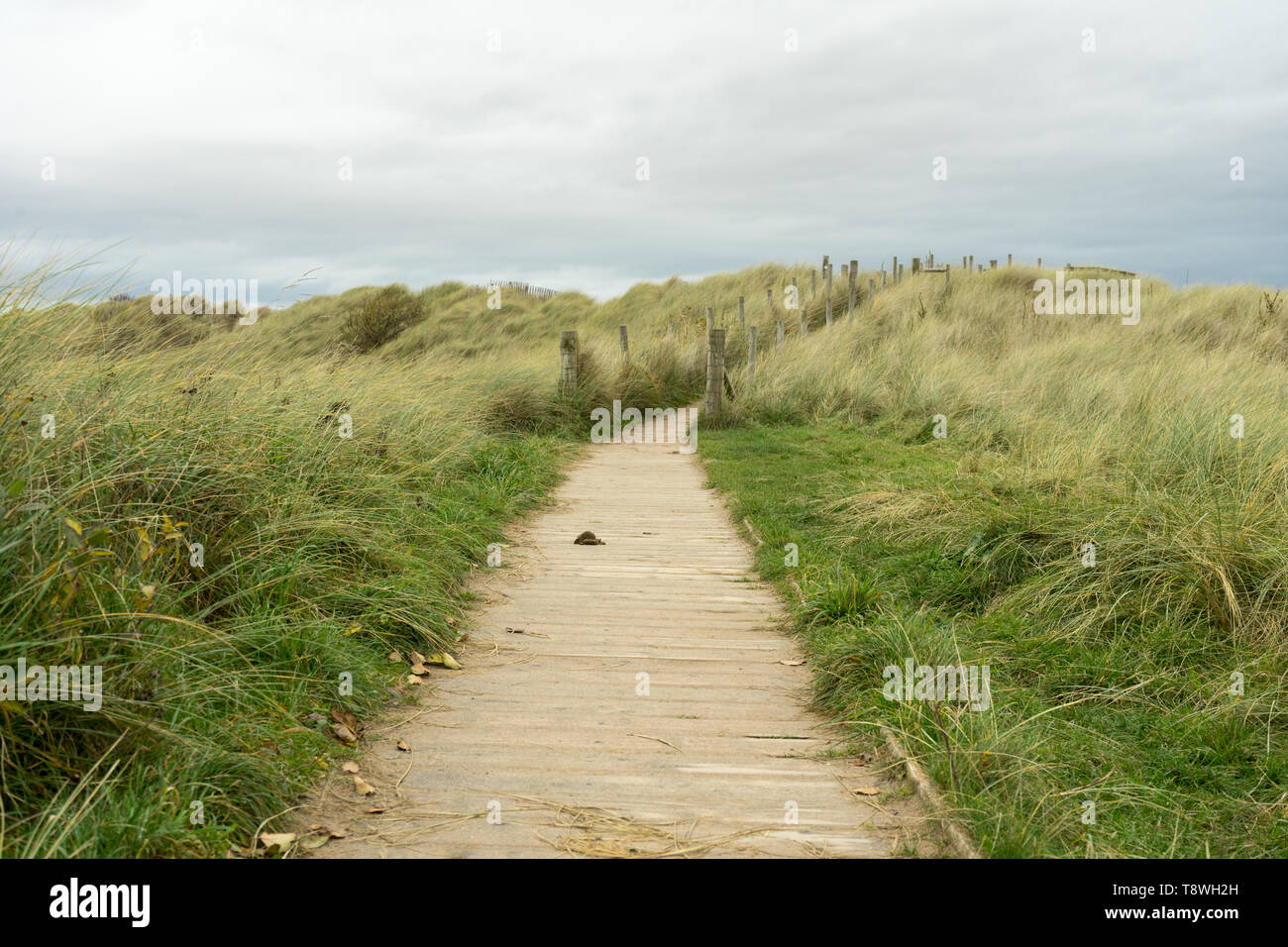 Sentiero costiero board walk, che conduce attraverso le dune di sabbia in Galles, UK, Punto di Ayr Foto Stock