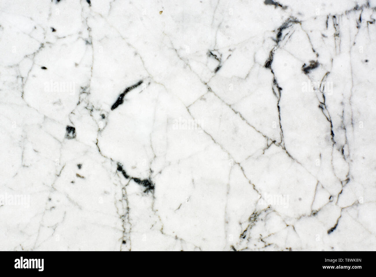 Bianco pietra naturale, scuro marmo venato texture. Foto Stock