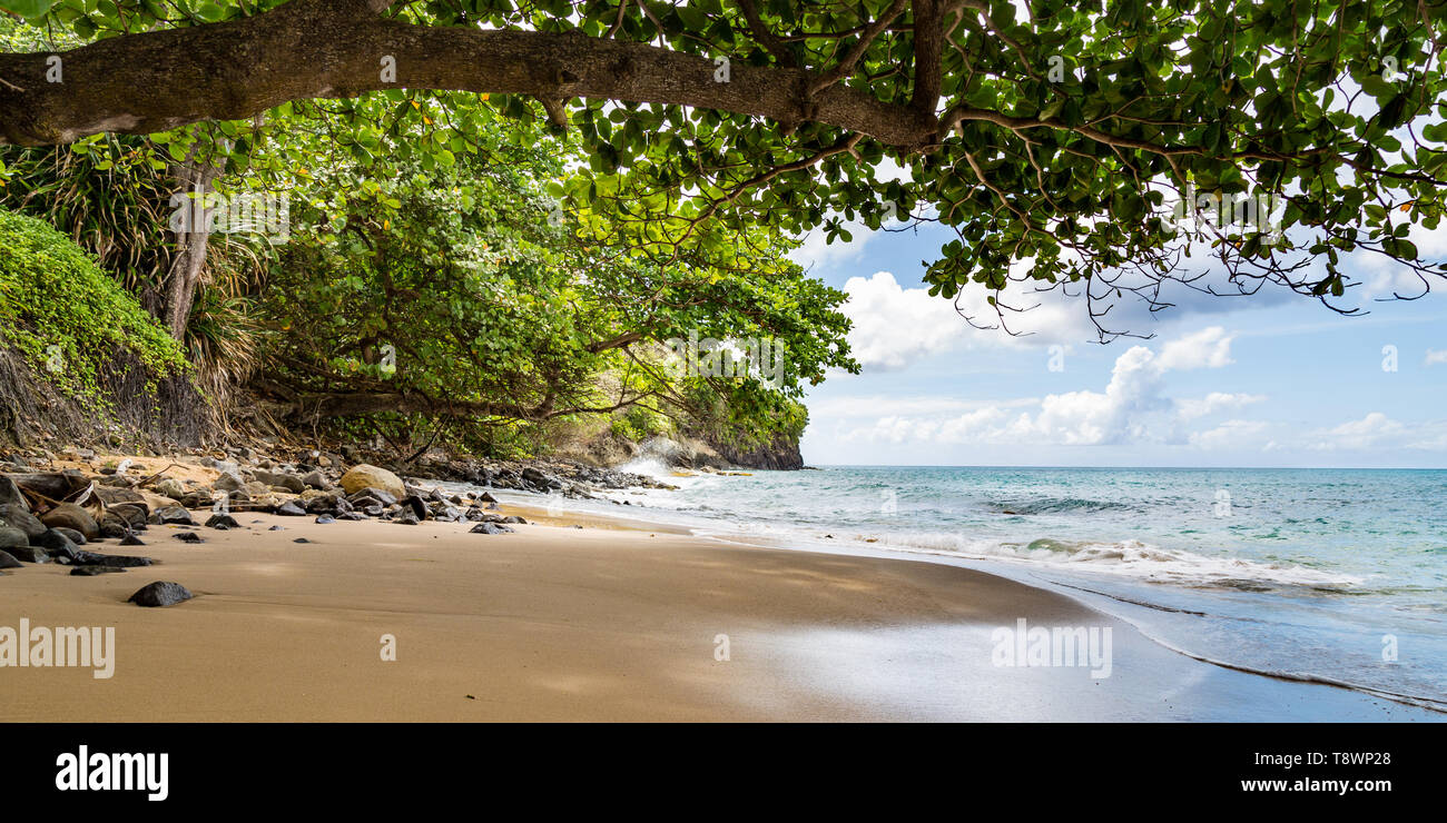 La spiaggia di Toc, St Lucia, dei Caraibi Foto Stock