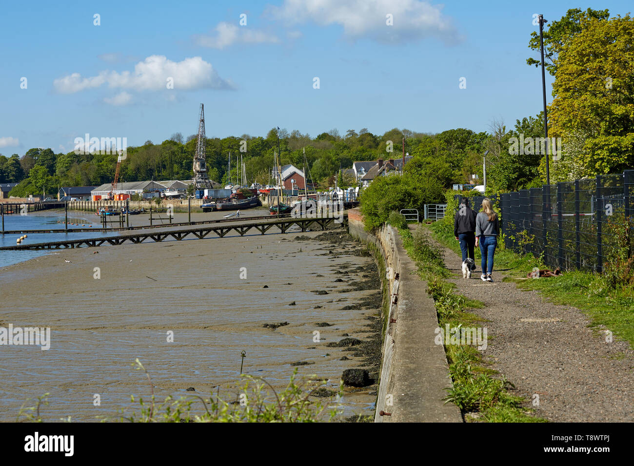 Dog walkers sul sentiero accanto al fiume Medway,inferiore Upnor, Kent, Regno Unito Foto Stock