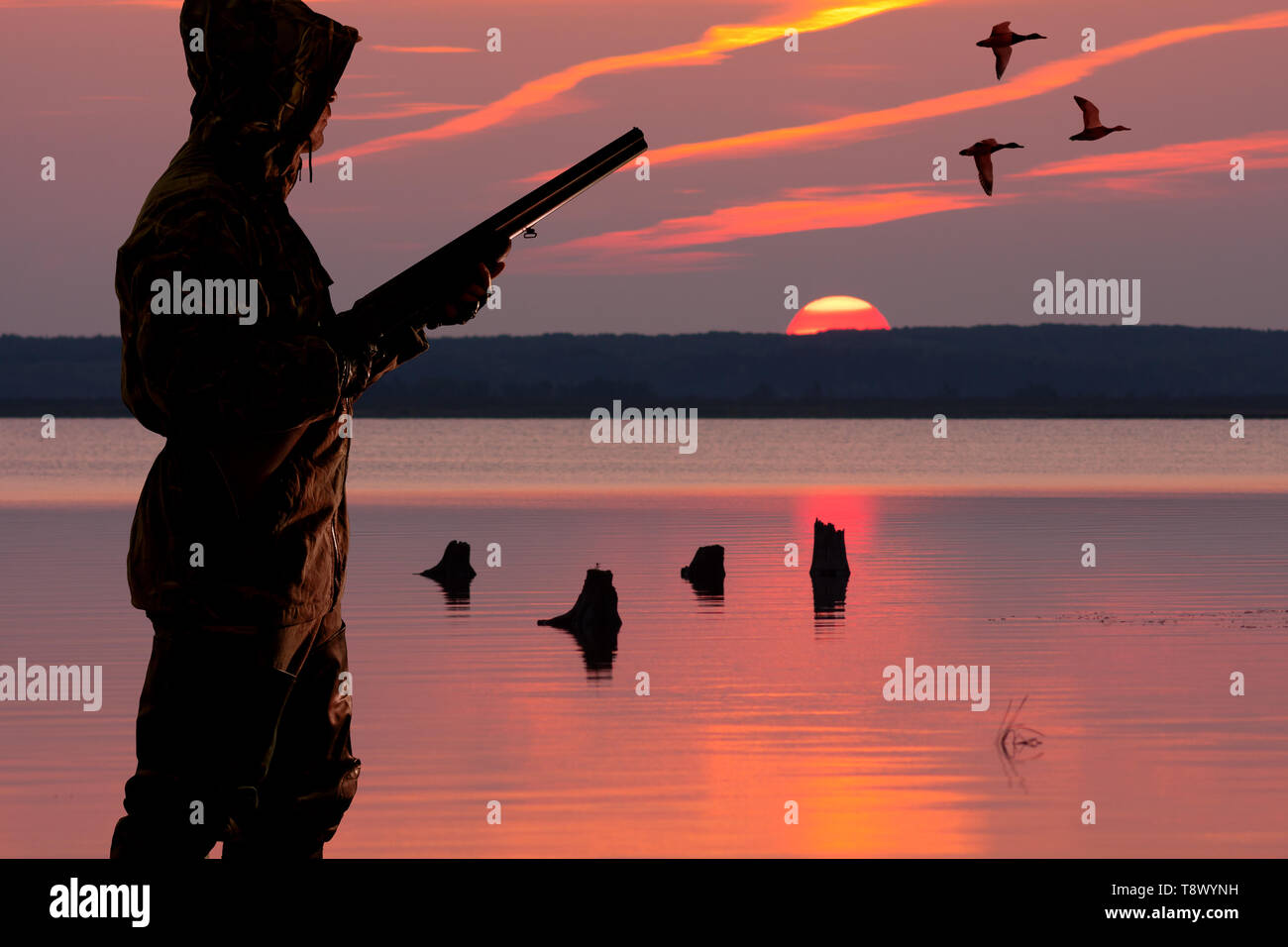 Silhouette di un waterfowler al tramonto sullo sfondo la caccia di uccelli acquatici Foto Stock