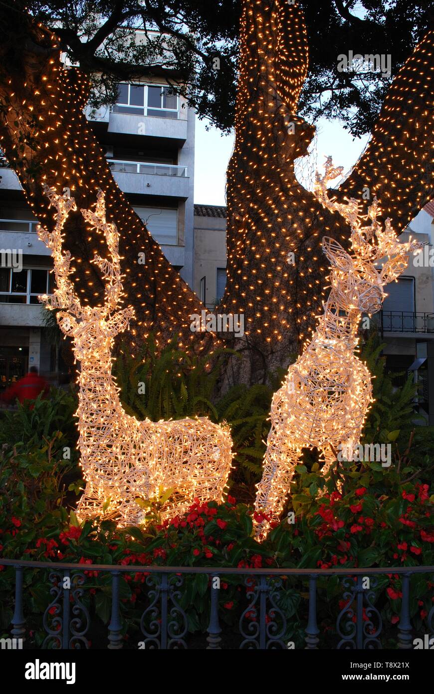 Natale renne wireframe decorazioni in Piazza della Costituzione (Plaza de la Constitucion) di notte, Fuengirola, Spagna. Foto Stock