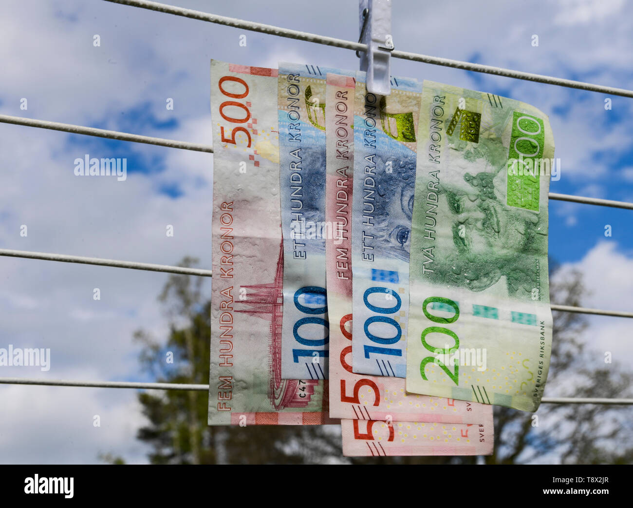 L'acqua corrente del rubinetto sul denaro Foto Stock