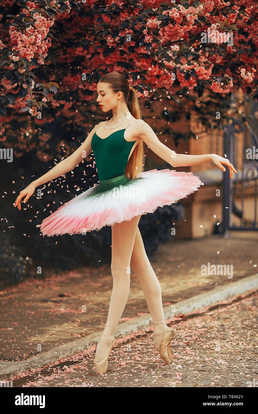 Ballerina dancing in una bella tutu contro lo sfondo della fioritura sakura  alberi e la caduta di petali in park alley Foto stock - Alamy