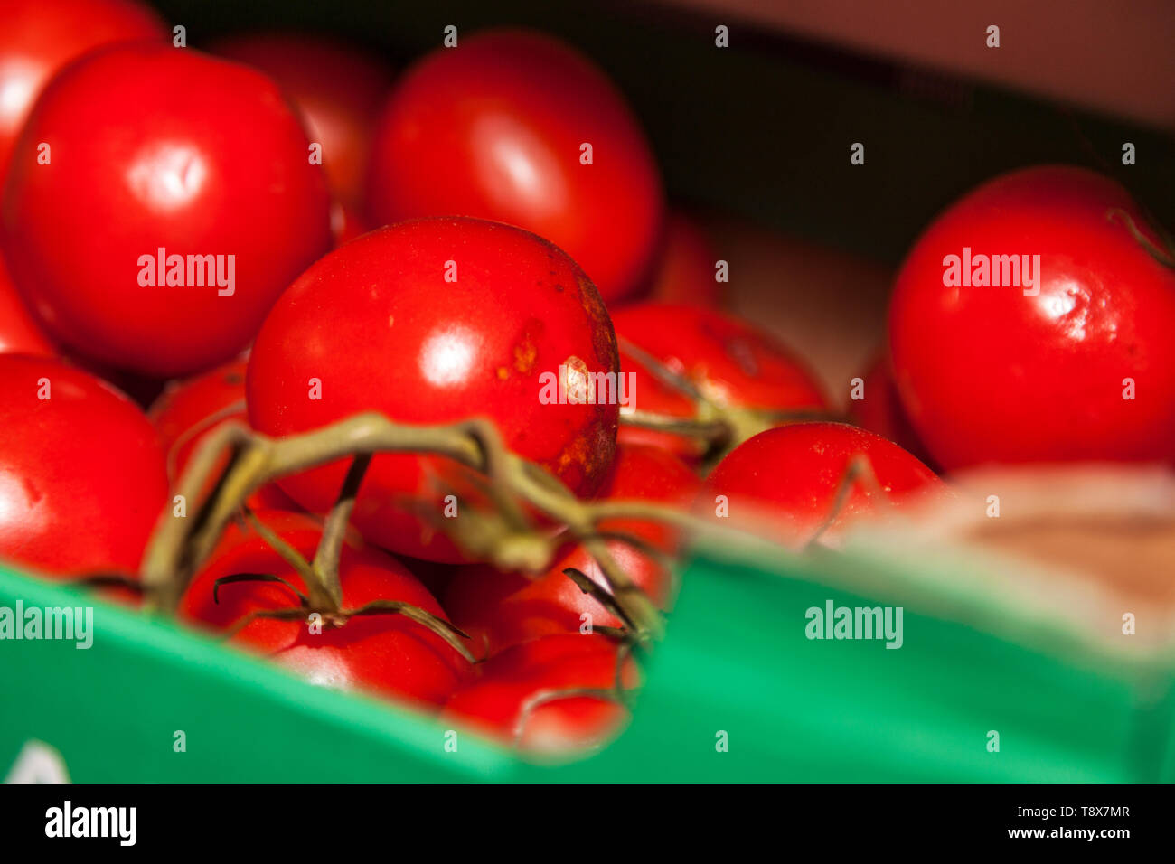 La vibrante freschi pomodori a grappolo in una scatola Foto Stock