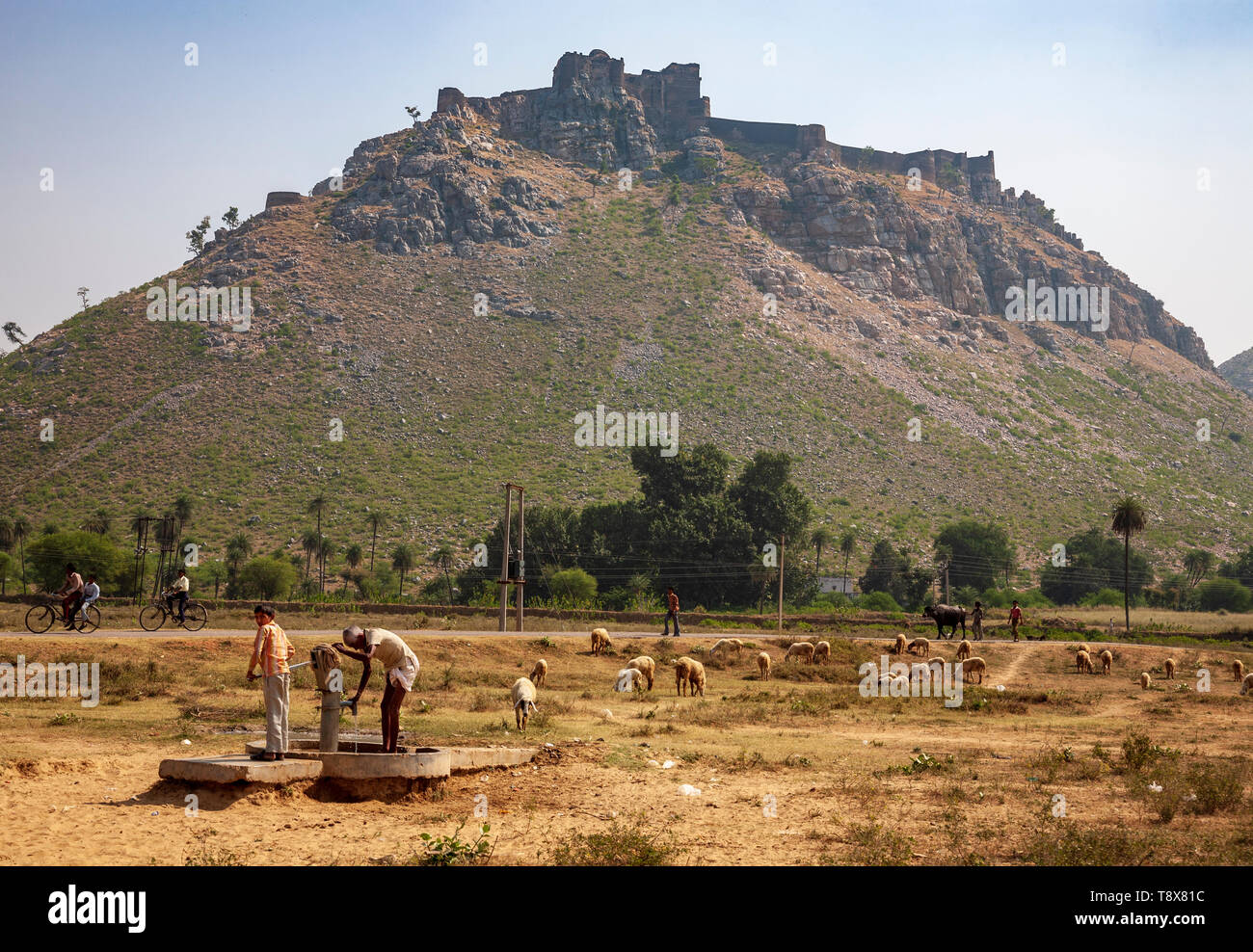 Il pompaggio di acqua da un pozzo nelle zone rurali del Rajasthan, India Foto Stock