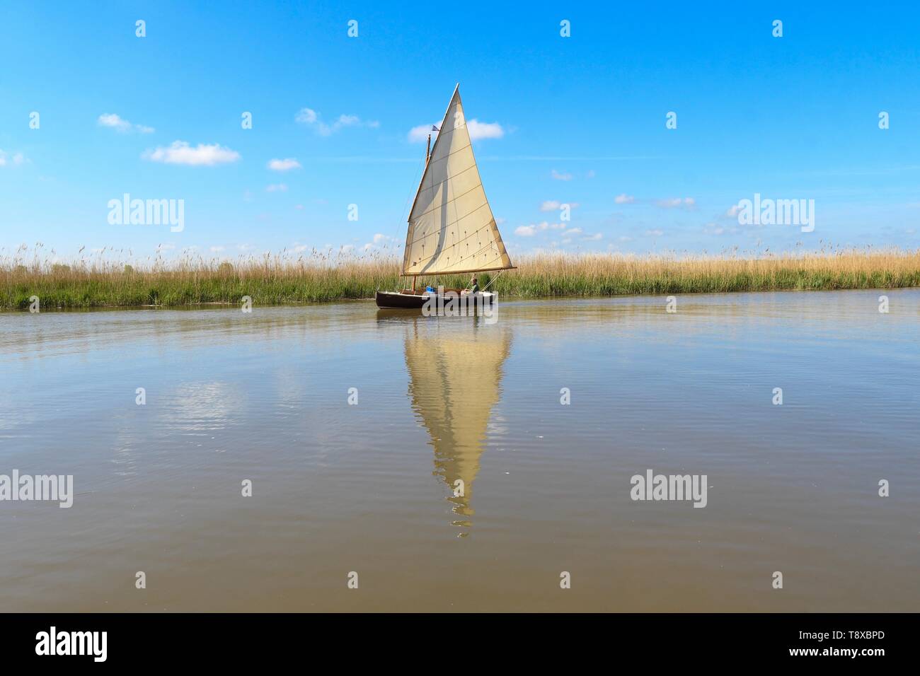 Fiume y vengono, Cantley, Norfolk, Inghilterra, Regno Unito - 15 Maggio 2019: Regno Unito - previsioni del tempo - un giorno perfetto per la vela sul Norfolk Broads Credito: Kay Roxby/Alamy Live News Foto Stock