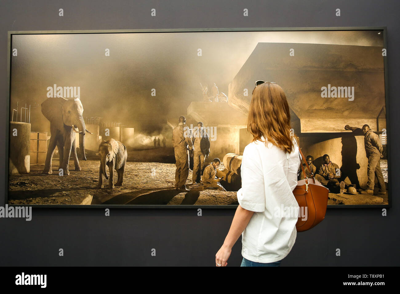 La Somerset House, London, Regno Unito 15 maggio 2019 - un visitatore visualizza Nick Brandt ÒBridge della costruzione con gli elefanti e lavoratori di notte, 2018' Fotografia presso l'anteprima della foto Londra 2019 at Somerset House, il più grande evento di fotografia. La manifestazione annuale nel suo quinto anno, mette in mostra il lavoro di oltre un centinaio di leader a livello mondiale di gallerie provenienti da 21 differenti paesi. La fiera si apre a Somerset House il 16 maggio e fino al 19 maggio 2019. Credito: Dinendra Haria/Alamy Live News Foto Stock