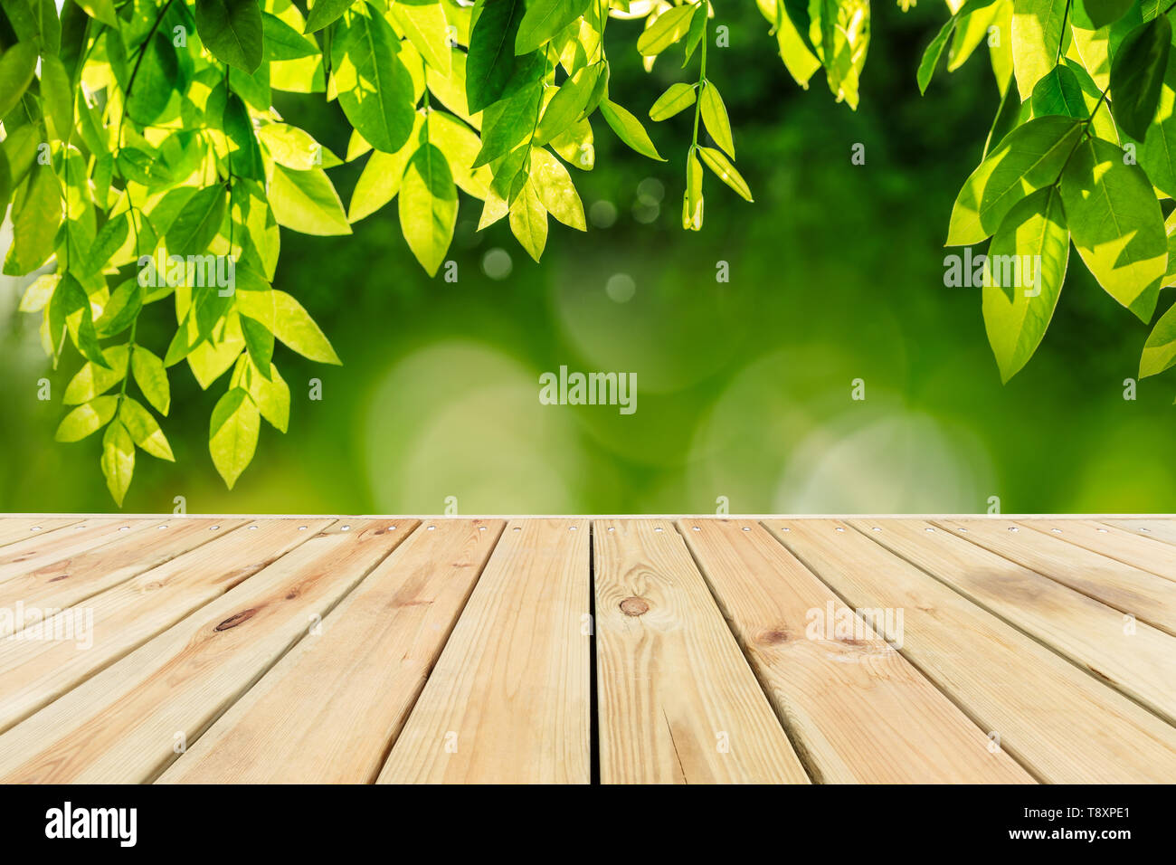 Svuotare asse di legno tavolo con parco verde sullo sfondo della natura Foto Stock