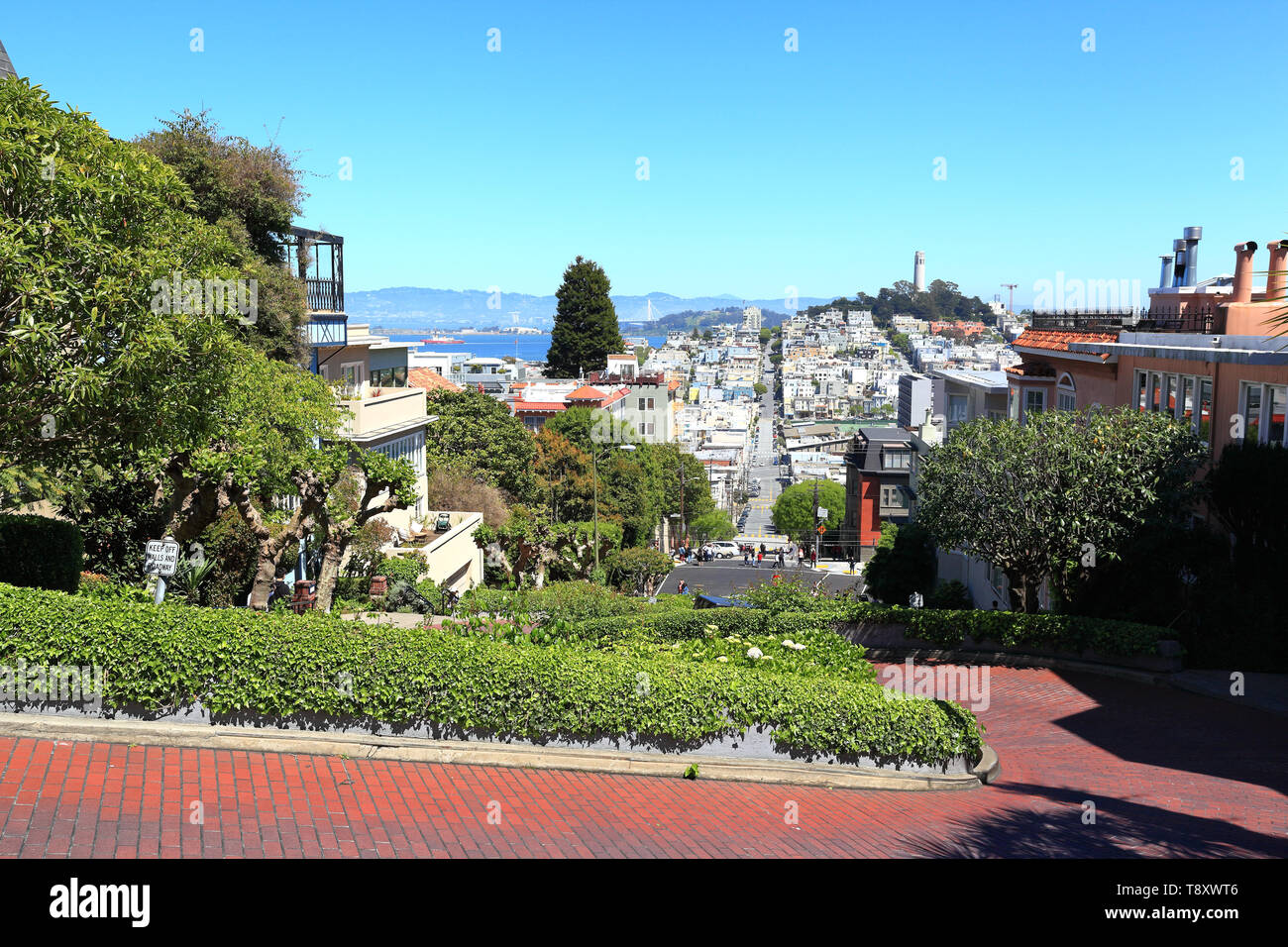 San Francisco: Guardando giù il famoso crooked Lombard Street verso la Collina del Telegrafo. Foto Stock