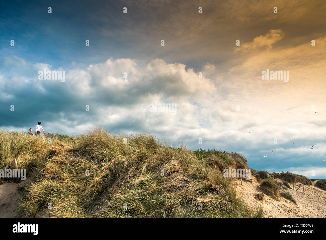 Luce della Sera oltre le dune di sabbia a sistema Fistral a Newquay in Cornovaglia. Foto Stock