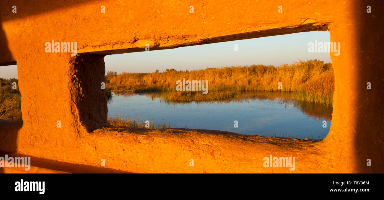 Reserva Natural del Humedal de Azraq. Jordania, Oriente Medio Foto Stock