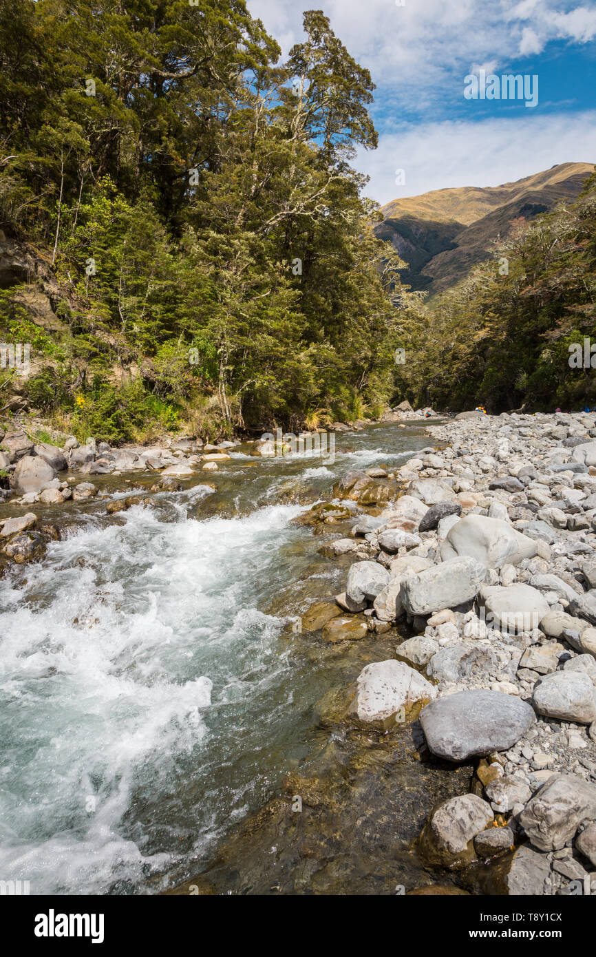 Che scorre veloce flusso e il letto del fiume, Isola del Sud, Nuova Zelanda Foto Stock
