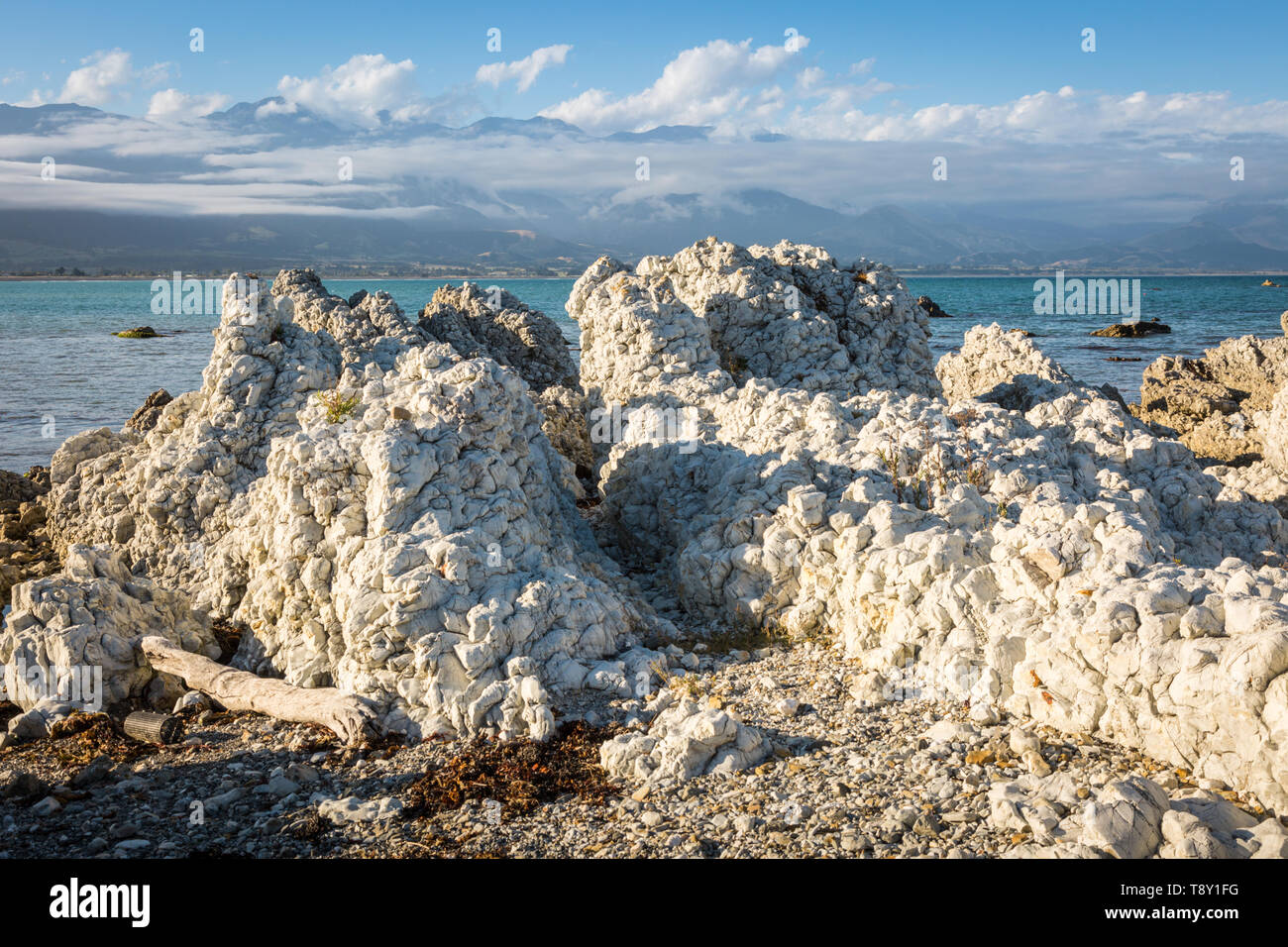 Limstone rock sulla riva a Kaikoura, Isola del Sud, Nuova Zelanda Foto Stock