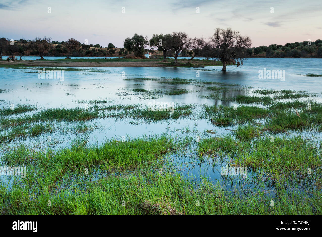 Pascoli inondati vicino Monsaraz, Portogallo Foto Stock
