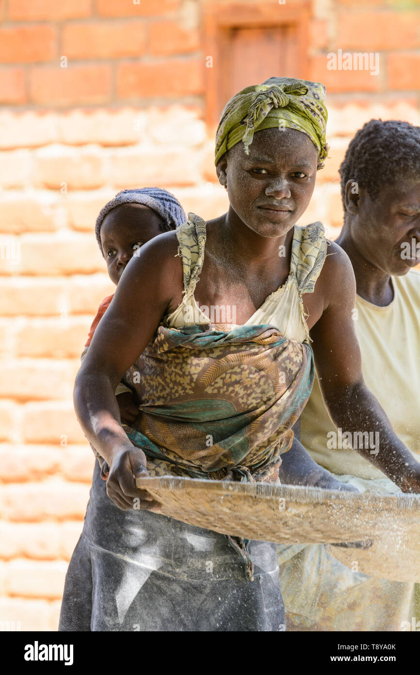 Ritratto di una giovane donna malawiana spulatura mais con il suo bambino sul suo , indietro Dedza, Malawi Foto Stock