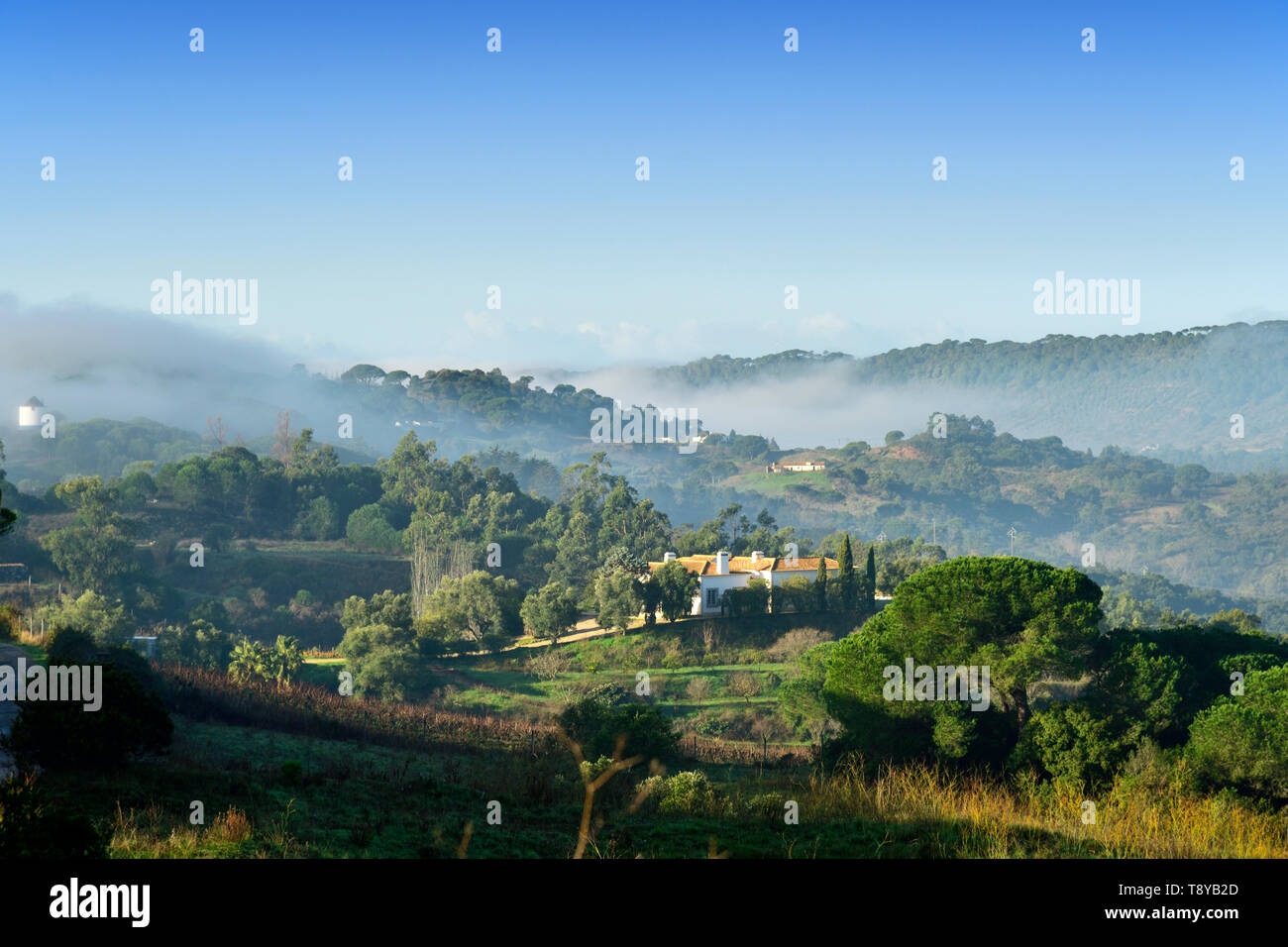 Parco Naturale Arrábida in una nebbiosa mattina. Palmela, Portogallo Foto Stock