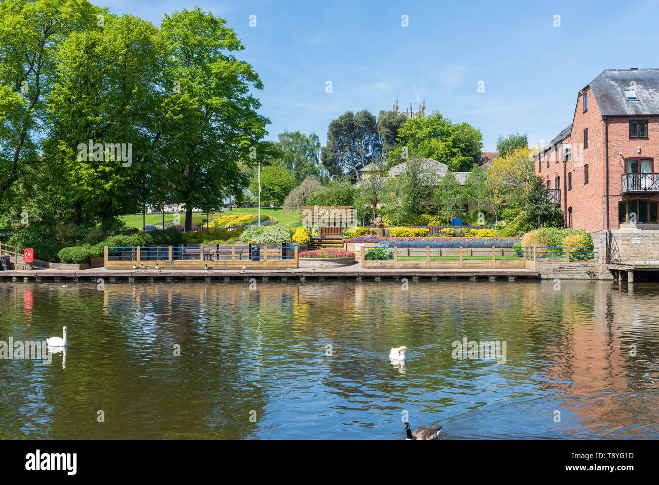 Abbey Park vista dal fiume Avon che corre attraverso il Worcestershire città mercato di Evesham Foto Stock