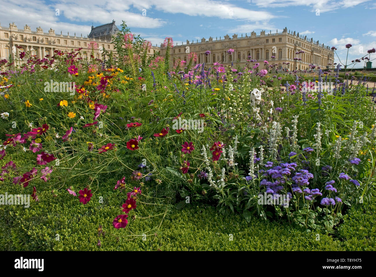 Letti di fiori del Nord Parterre dei giardini di Versailles Foto Stock