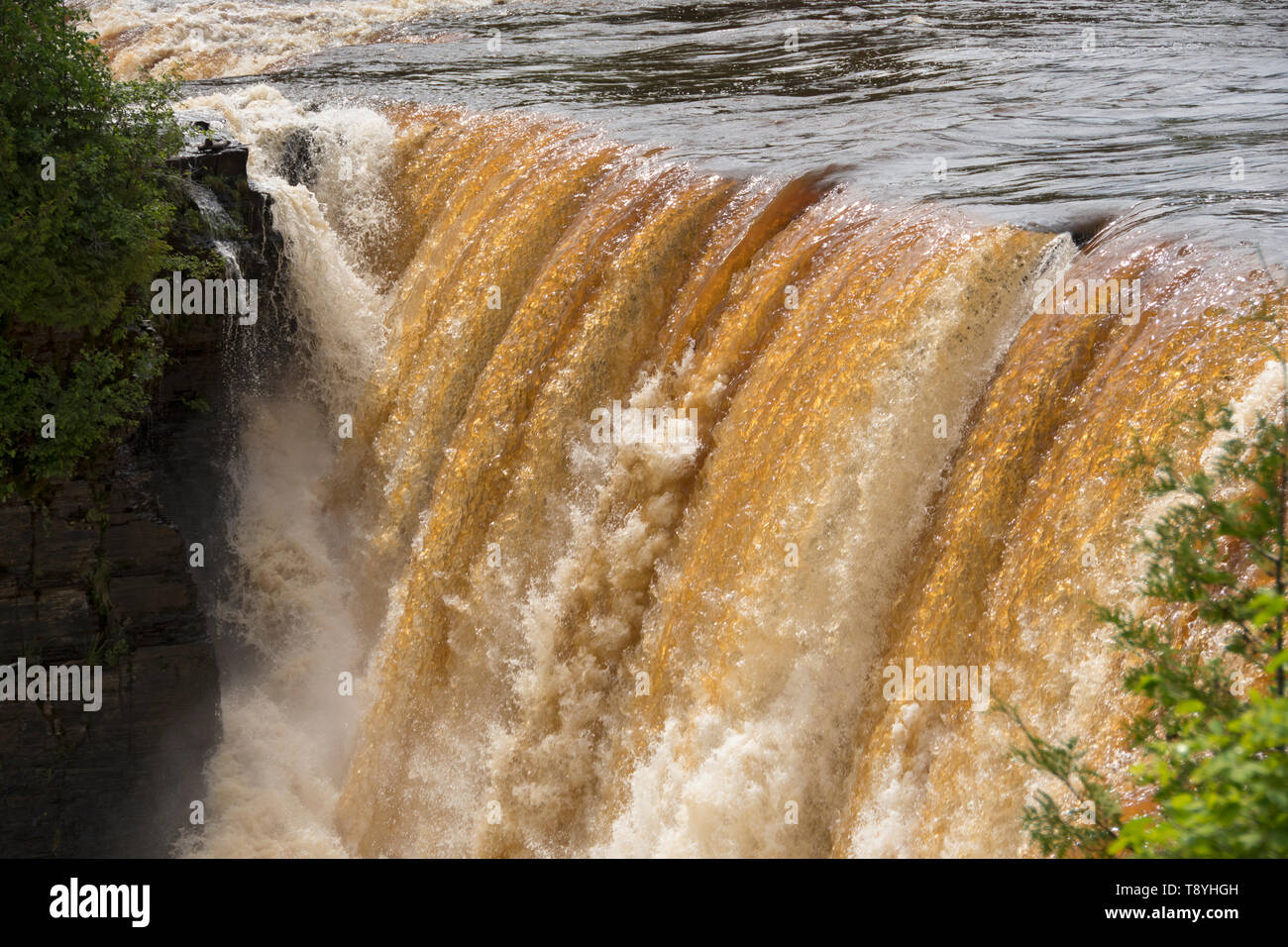 Cascate di acqua su Kakabeka Falls, Ontario, Canada. Il colore dell'acqua se a causa di tannino presente nell'acqua di vegetazione Foto Stock