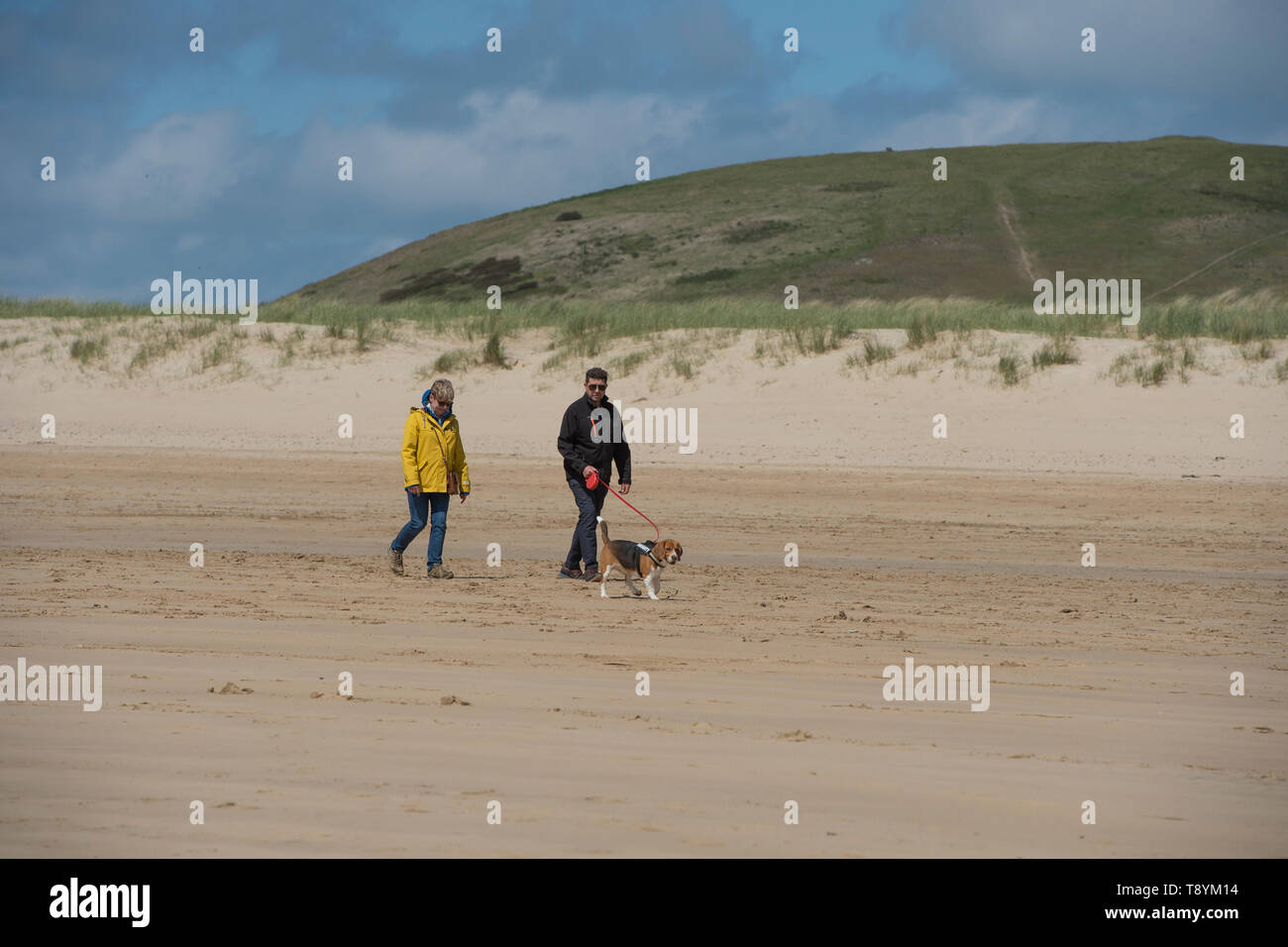 Passeggiate con il cane sulla spiaggia di roccia, Cornwall Foto Stock