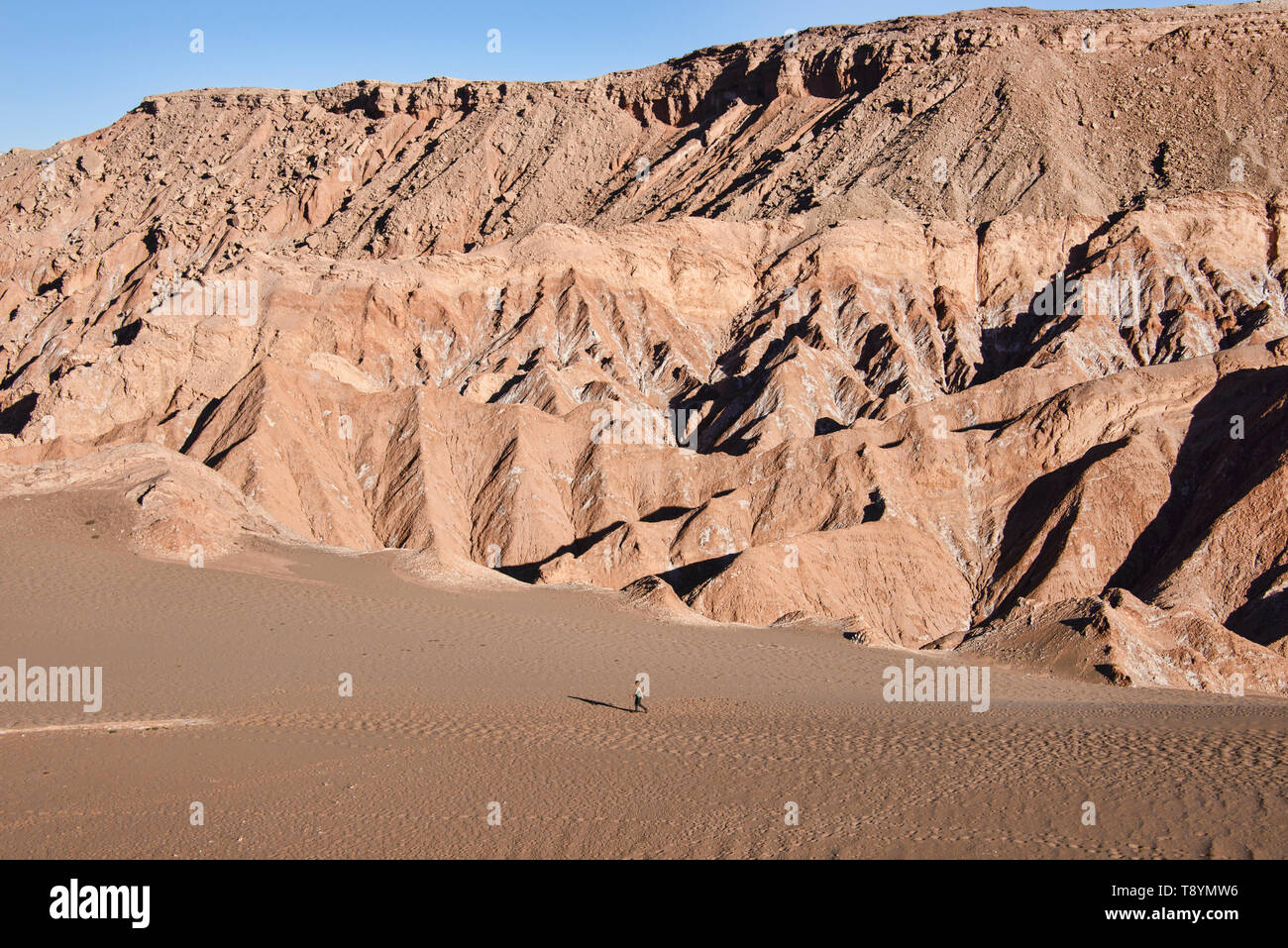 Bellissimo paesaggio a valle di Marte, San Pedro de Atacama, Cile Foto Stock