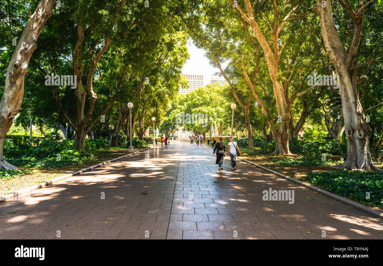 Vicolo e persone all'ombra di grandi alberi nella parte Sud di Hyde park a Sydney NSW Australia Foto Stock