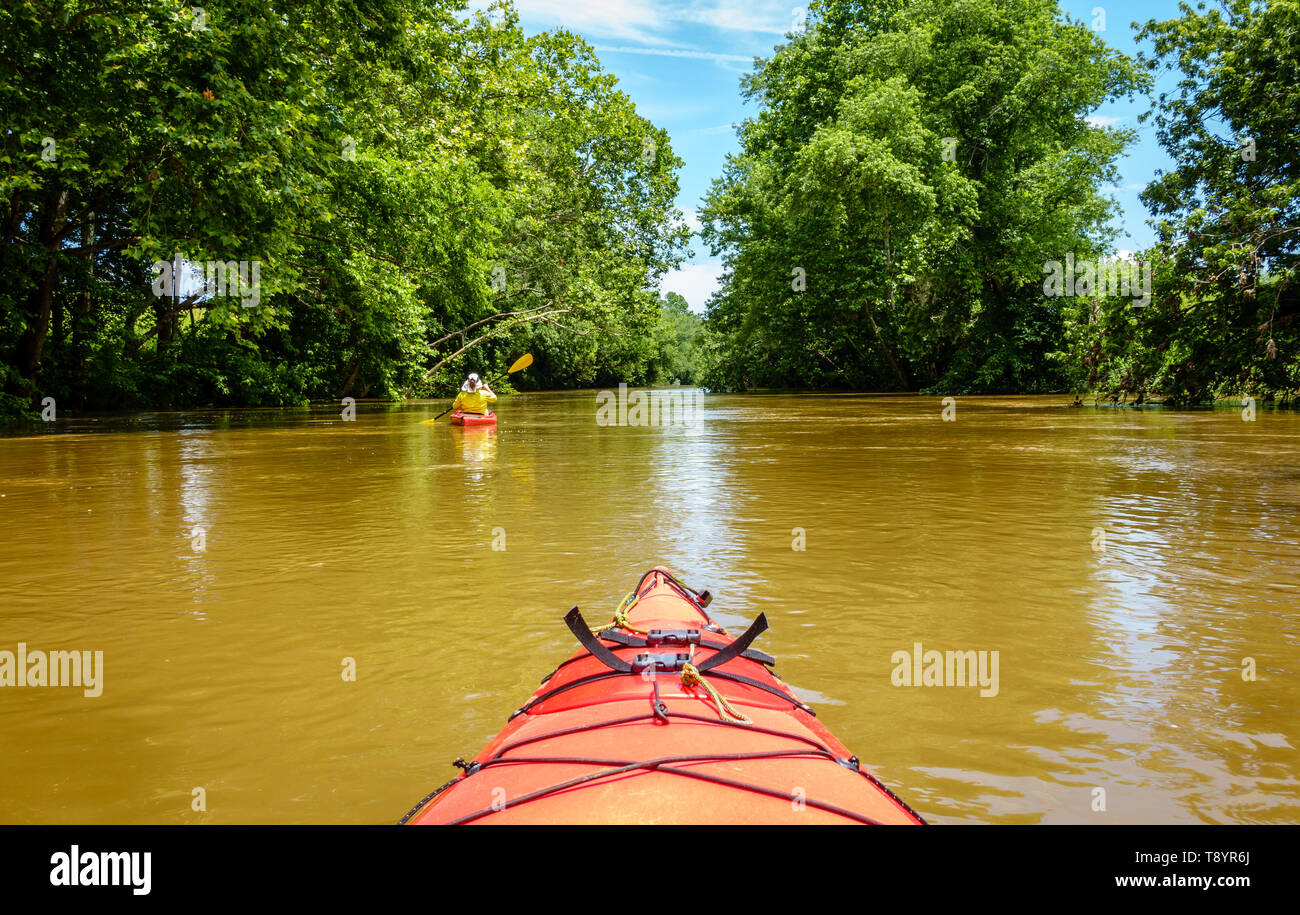 Kayaking sul grande Elkhorn Creek in Central Kentucky in estate Foto Stock