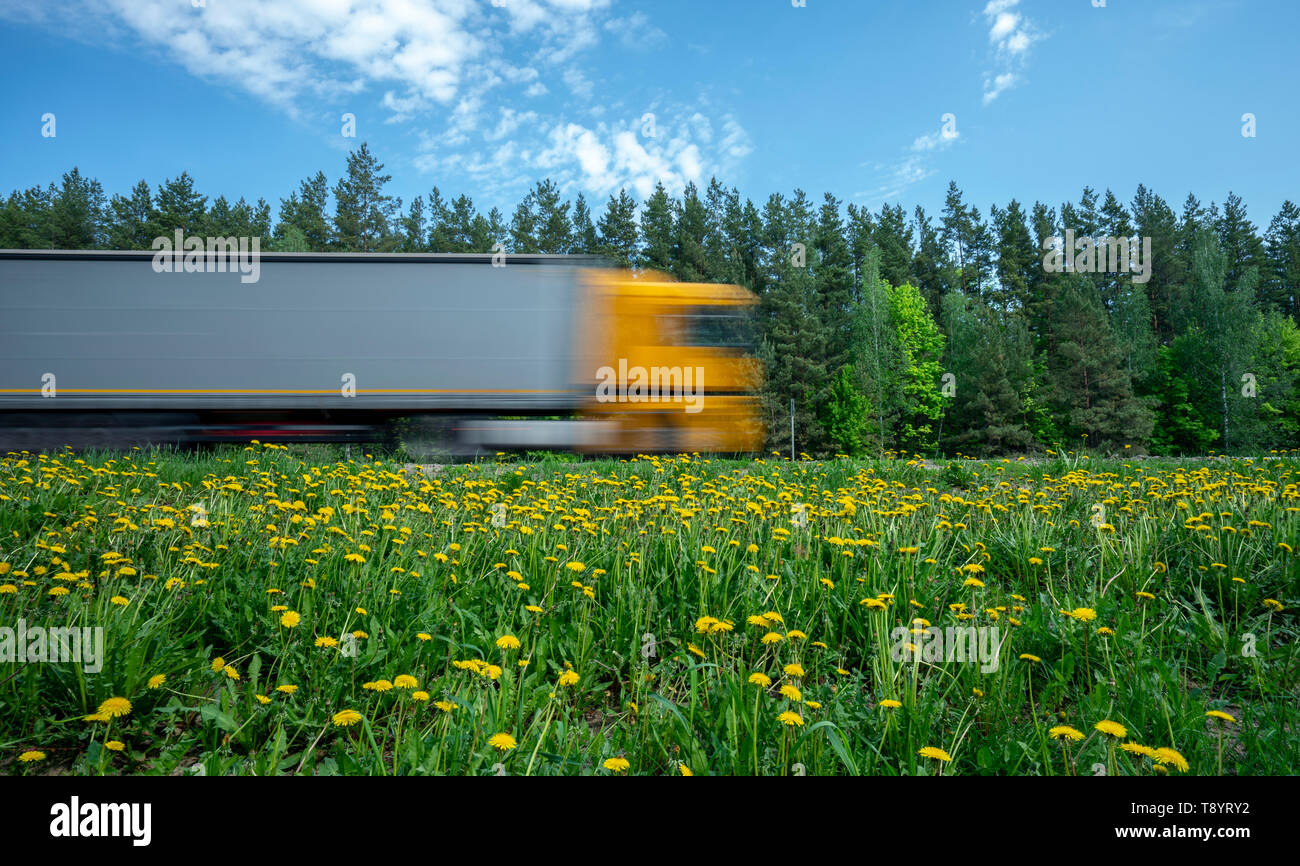 Un carrello con un taxi giallo precipita lungo la strada lungo la foresta, la strada è coperto con il tarassaco giallo Foto Stock