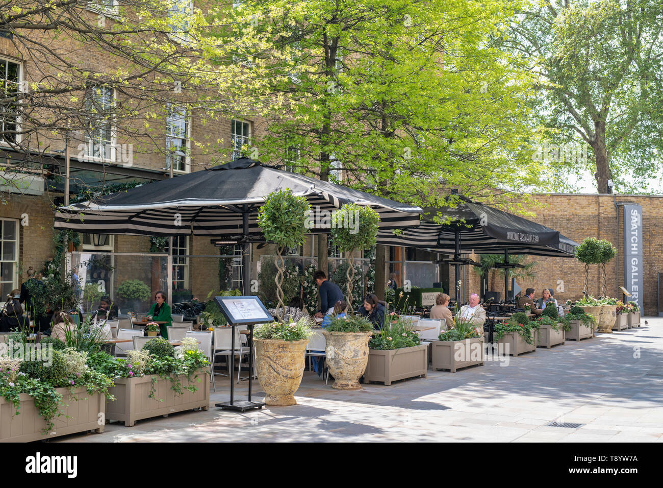 Vasi per piante e alberi in primavera al di fuori del Manicomio ristorante, Duke of York Square, a Chelsea, Londra, Inghilterra Foto Stock