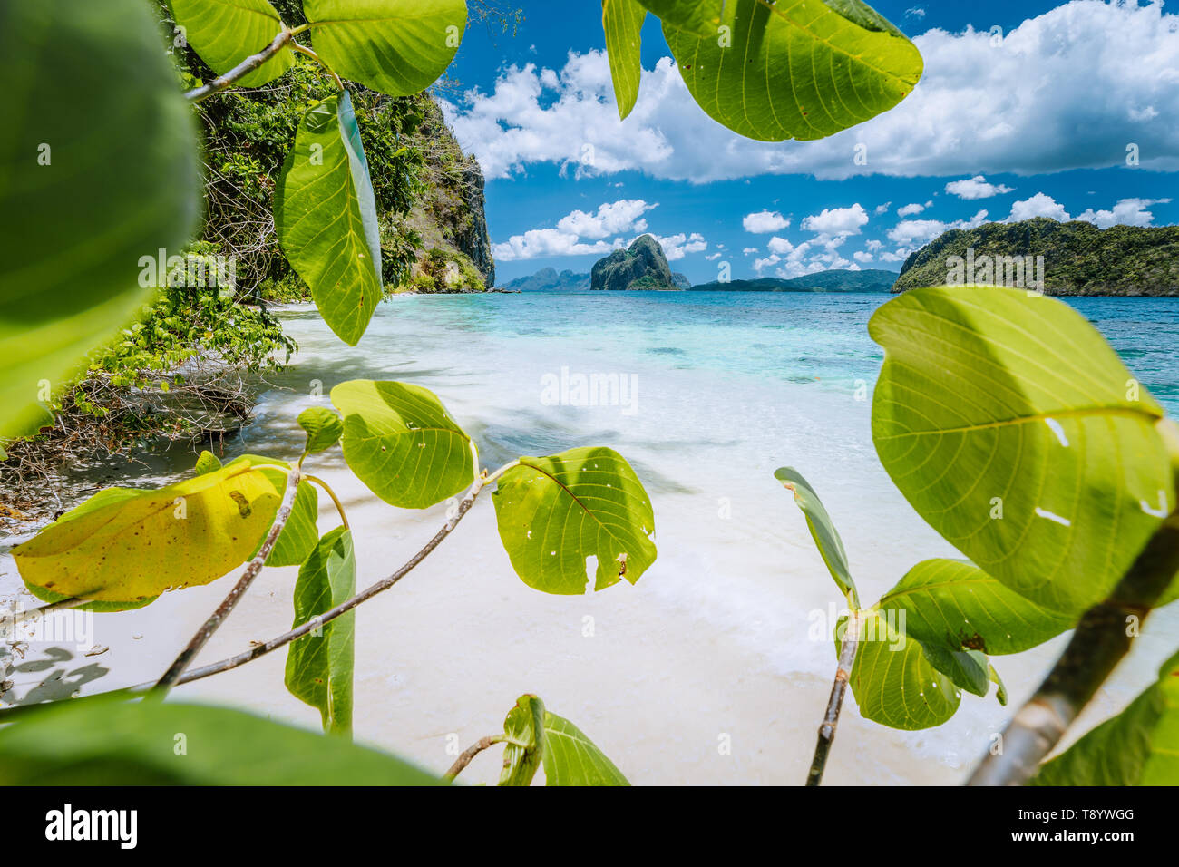 Lascia incorniciato shot di bizzarro stupefacente isola Pinagbuyutan realizzato sulla spiaggia di Lagen Island. El Nido, PALAWAN FILIPPINE. Foto Stock