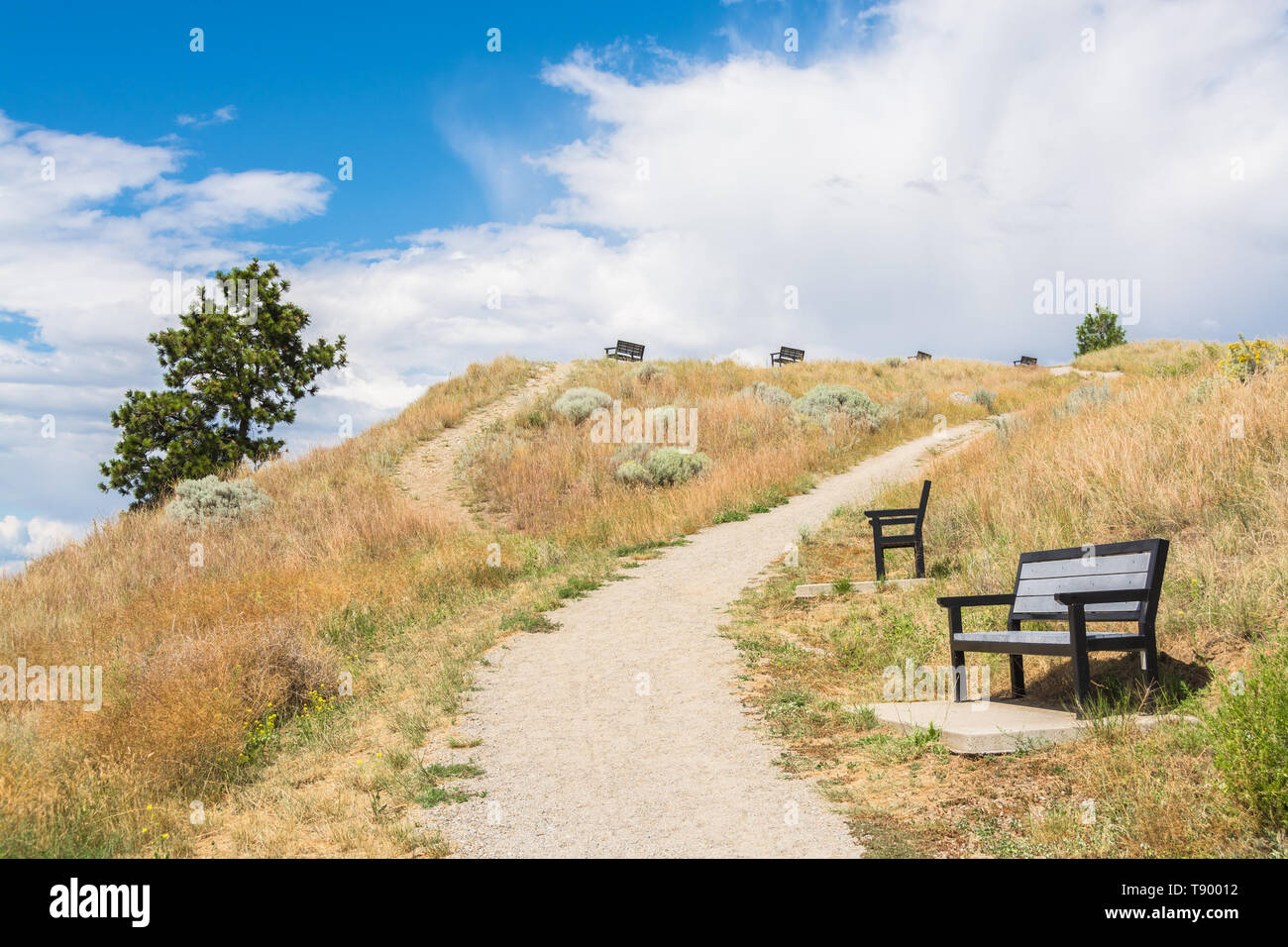 Passerella per la cima della montagna con vacante panchine lungo il percorso. Foto Stock
