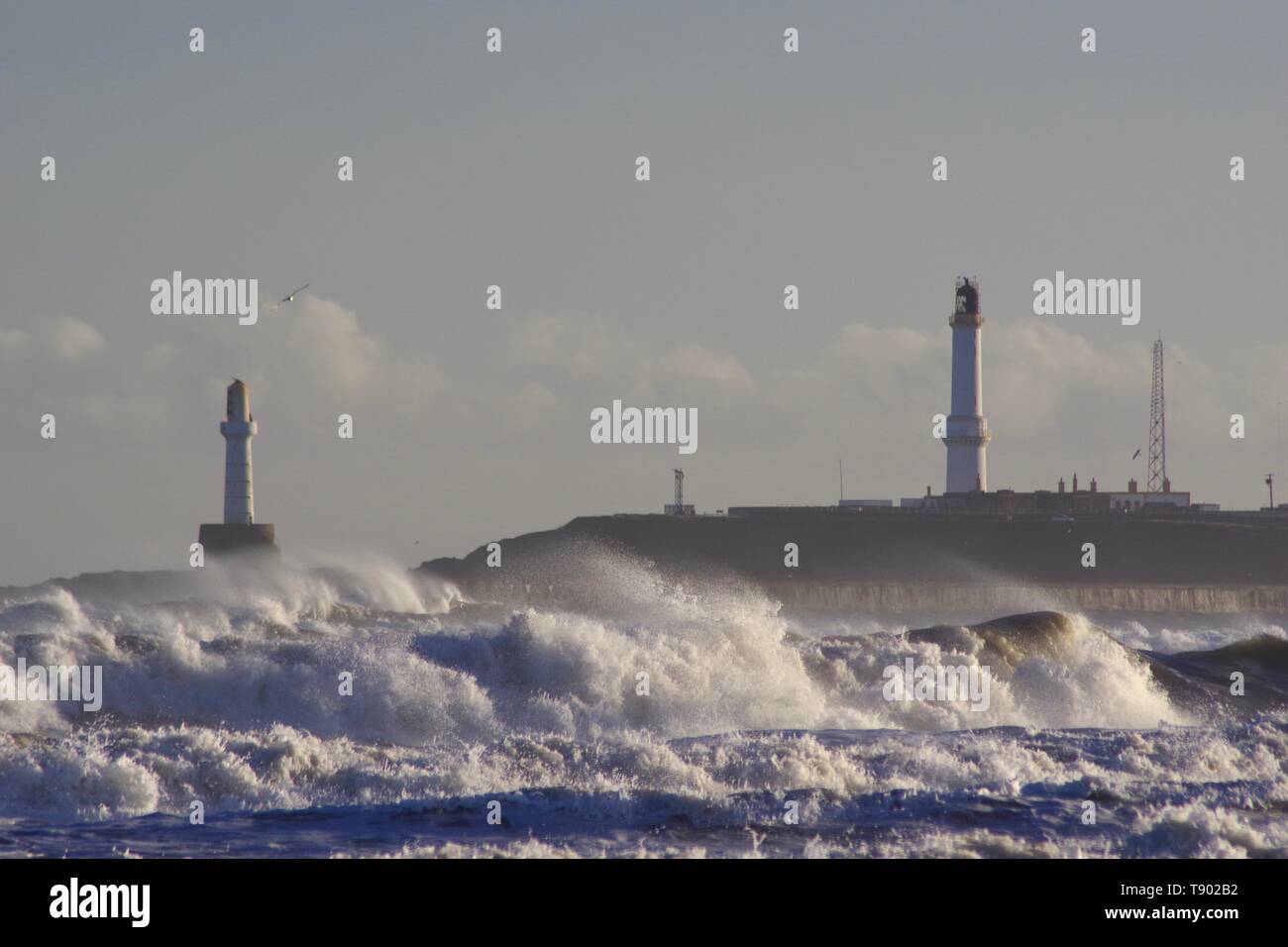 Faro Girdleness e ruvide di onde che si infrangono sulla spiaggia di Aberdeen durante una tempesta di neve. La Scozia, Regno Unito. Foto Stock