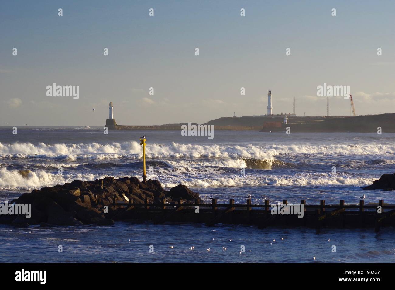 Faro Girdleness e ruvide di onde che si infrangono sulla spiaggia di Aberdeen durante una tempesta di neve. La Scozia, Regno Unito. Foto Stock