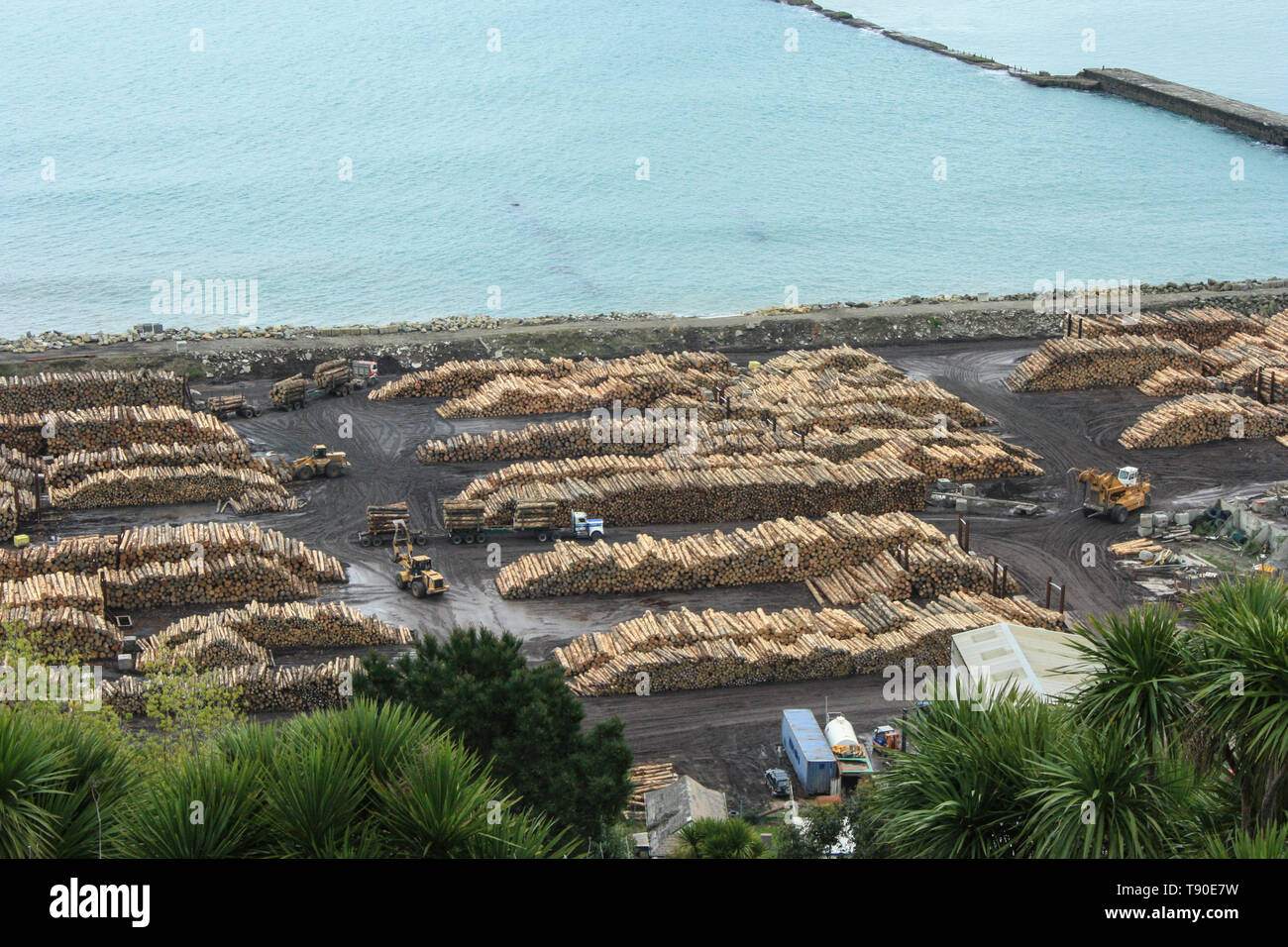 Pile di tronchi dalla Nuova Zelanda industria del legno pronto per essere esportato dal porto di Napier, Nuova Zelanda Foto Stock