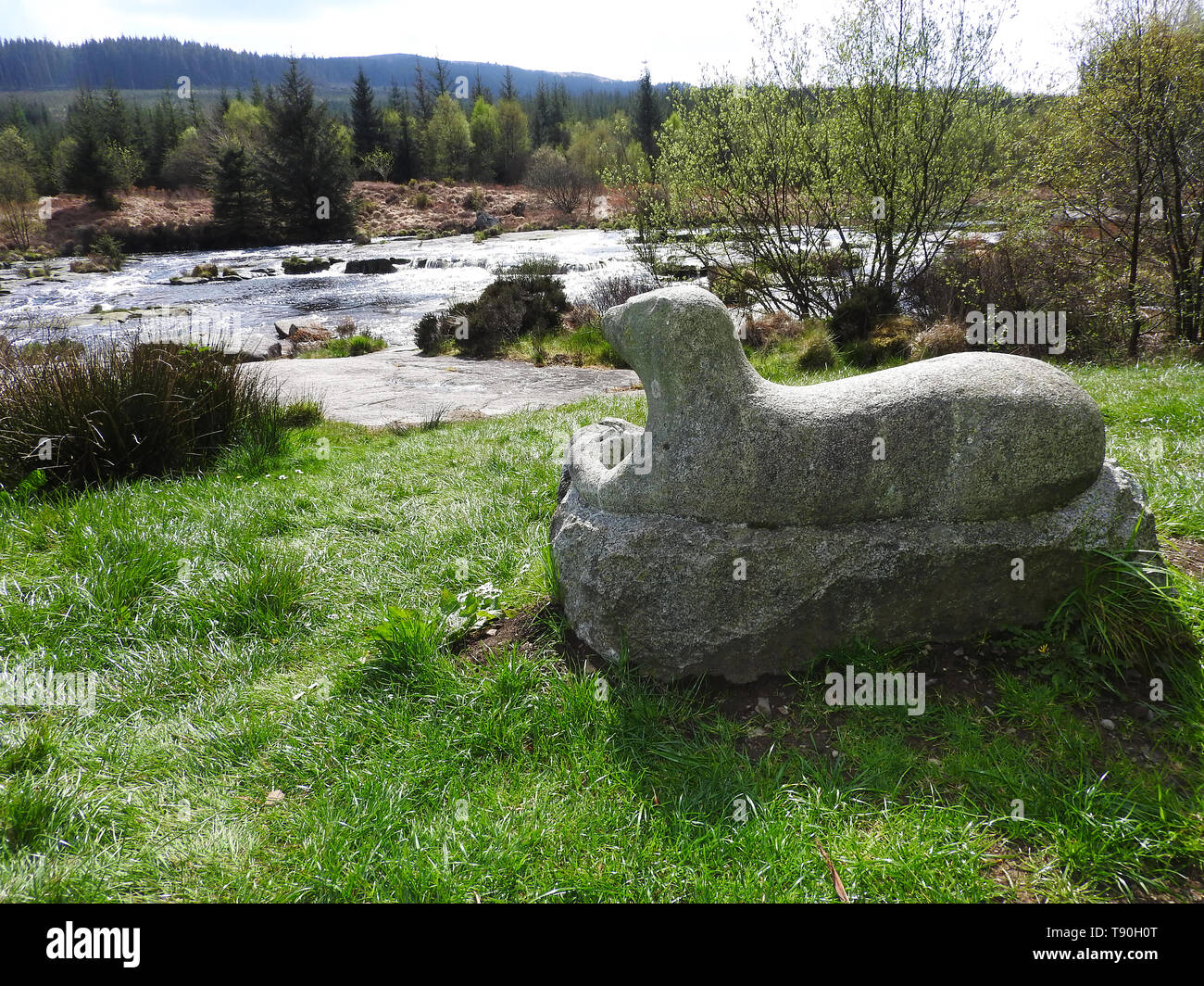 La lontra statua, presso la lontra Piscina / Otterpool,Raiders Road , Galloway Forest. Vicino a Newton Stewart, Wigtownshire Dumfries and Galloway, Scozia Foto Stock