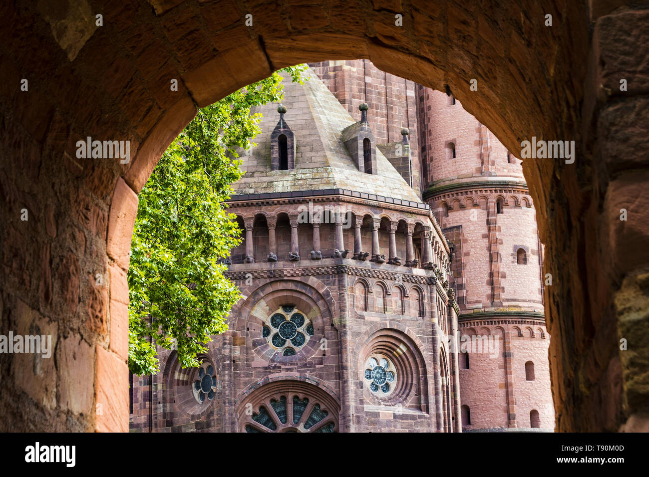 Cattedrale, Worm Foto Stock