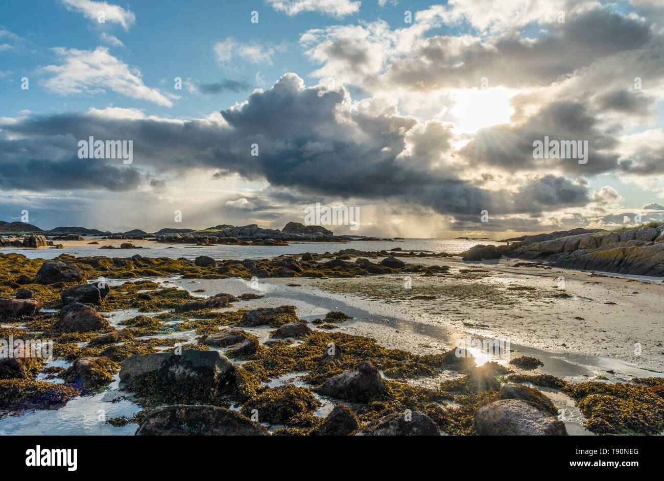 Spiaggia a Fidden, Ross di Mull Foto Stock