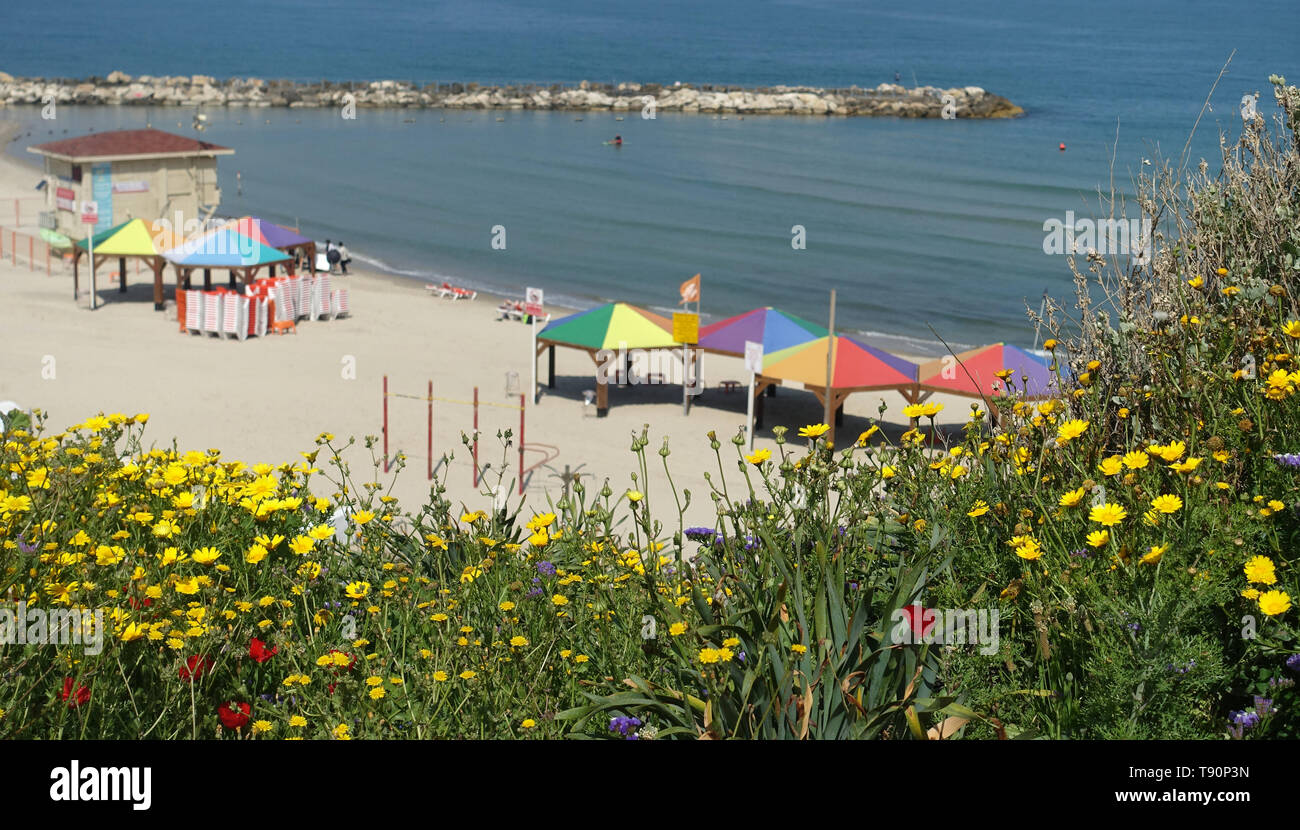 Tel Aviv Beach Israele Foto Stock