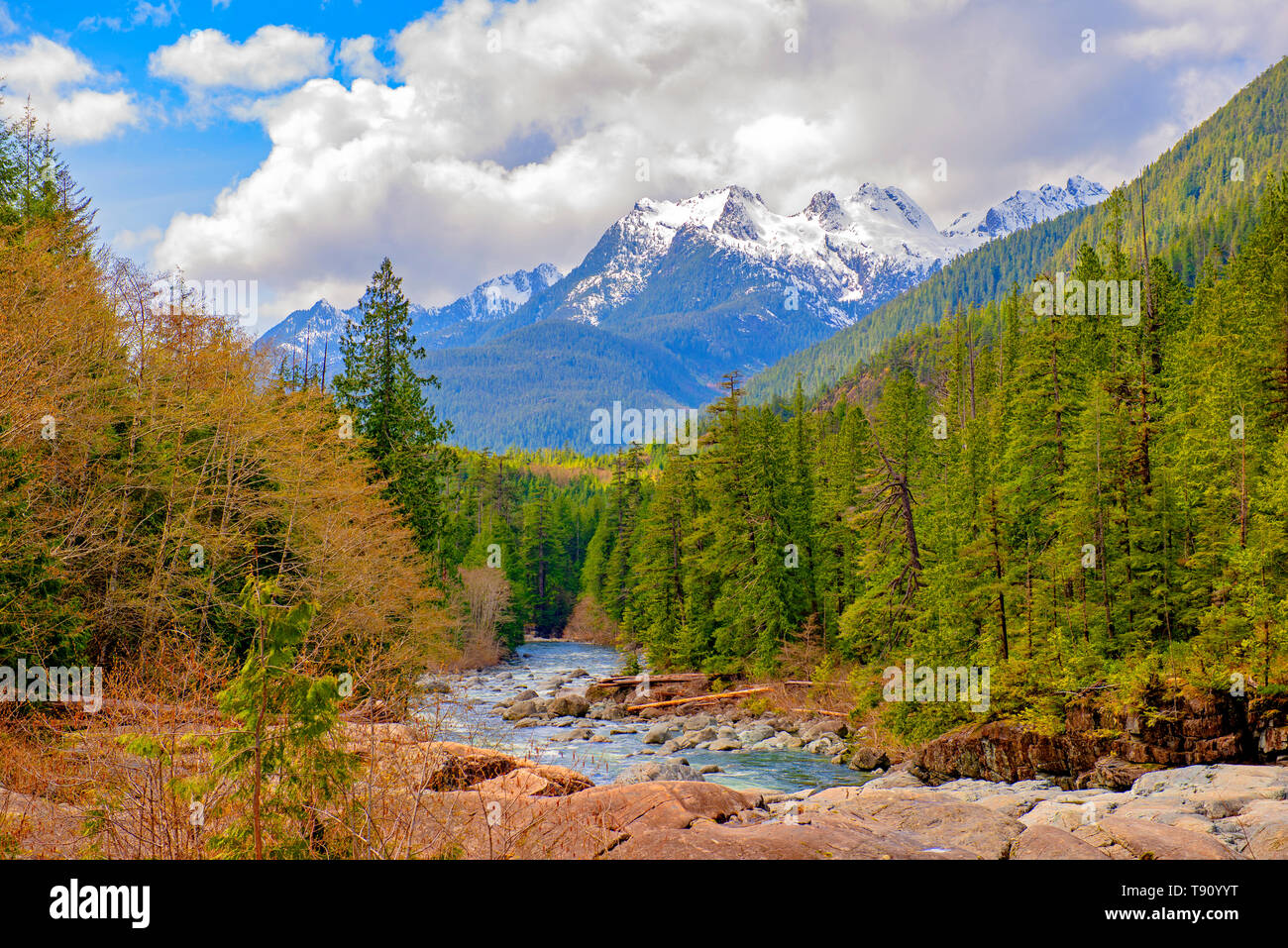 Vista del fiume Kennedy e la gamma della montagna con il paesaggio forestale in Isola di Vancouver, BC Foto Stock