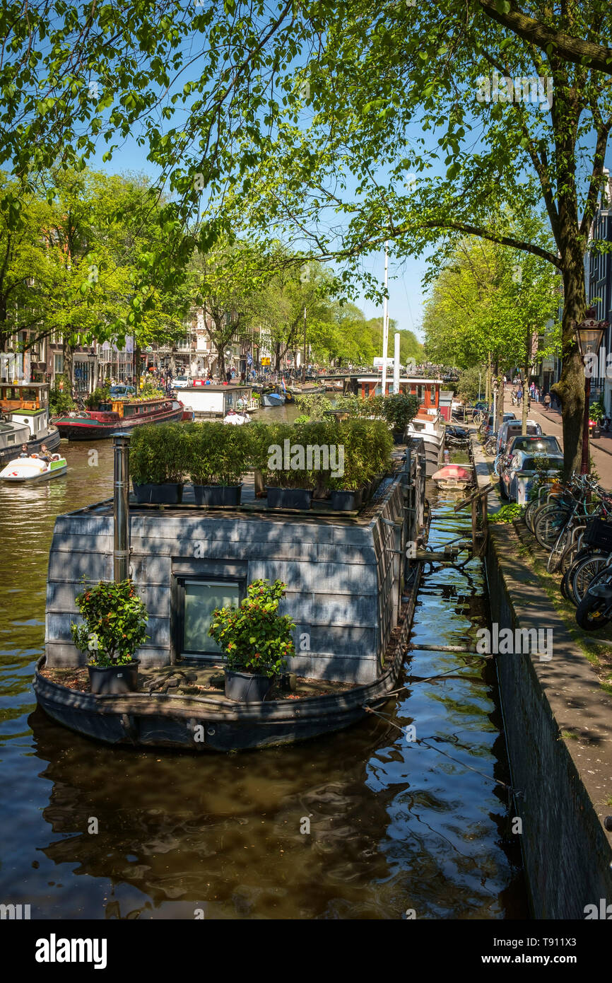 Pezzata la luce del sole cade su un Houseboat Amsterdam con un giardino con terrazza sul tetto. Foto Stock