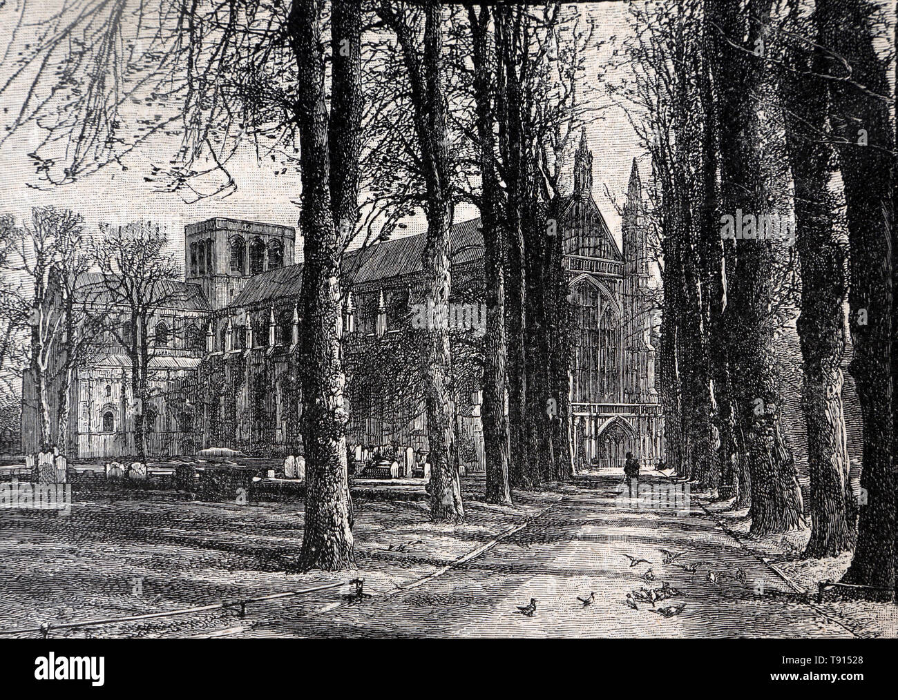 Illustrazione della Cattedrale di Winchester da una fotografia di Frith & C.Ofrom a 19th Century History Book Cassell's History of England Special Edition V Foto Stock