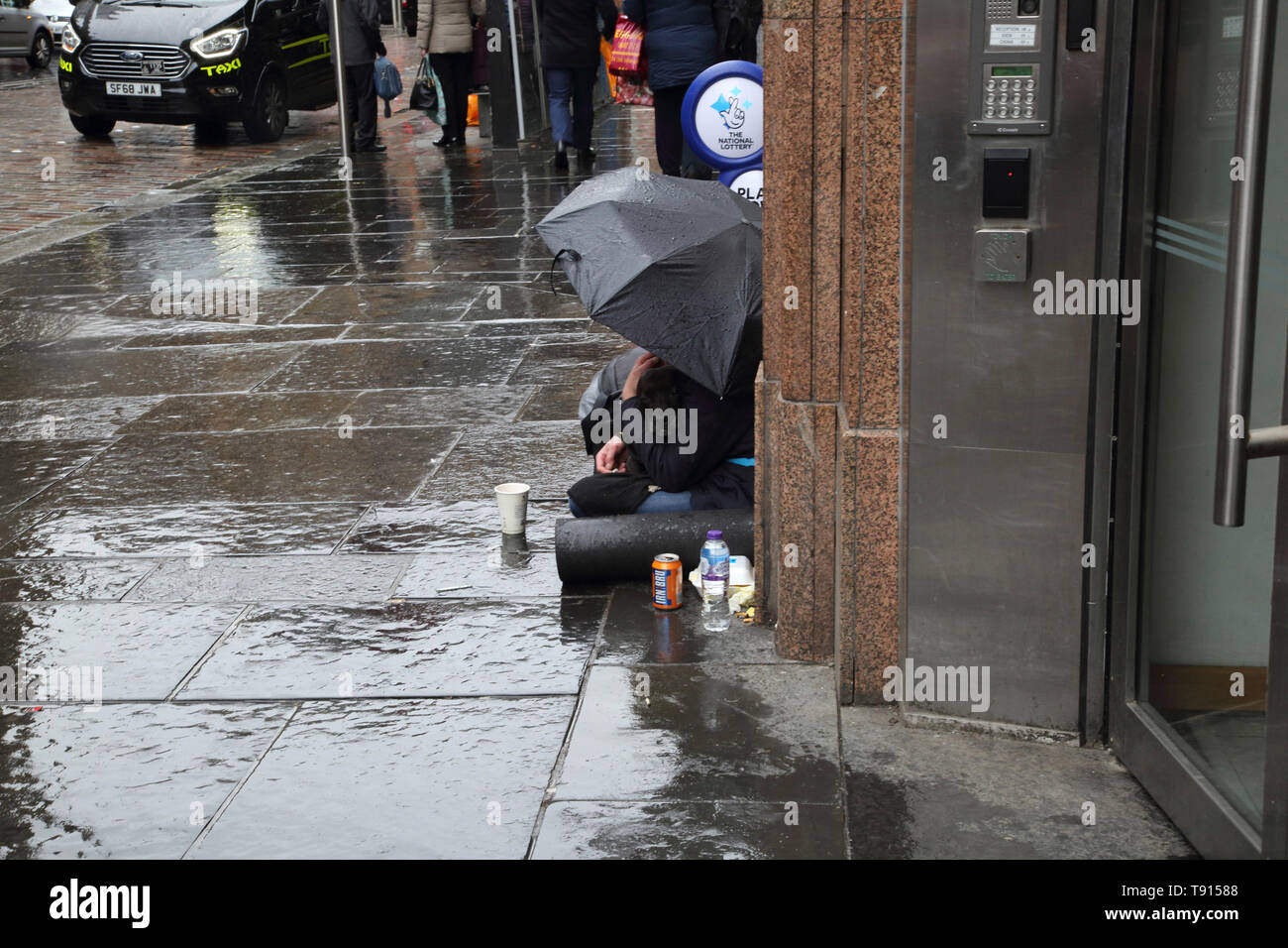 Glasgow Scozia senzatetto donna con il suo Staffordshire Bull Terrier cane sotto la pioggia Foto Stock