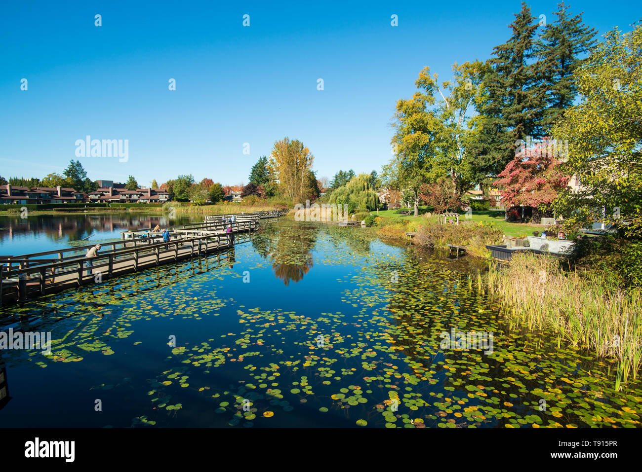 Risalente Abbotsford BC