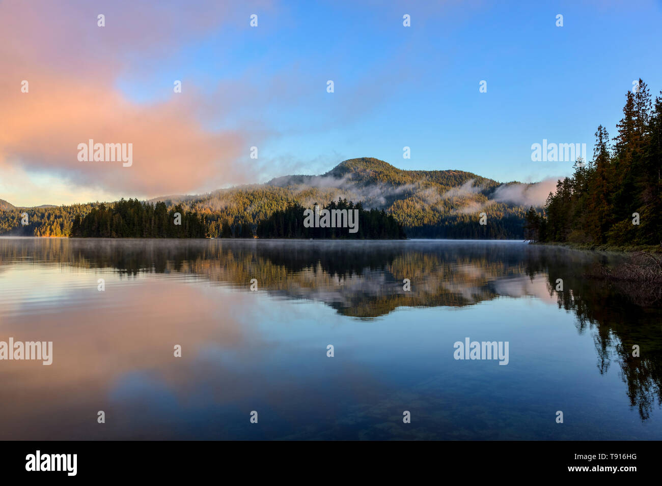 Il sole del mattino illumina il lontano riva del lago principale, nel lago principale parco provinciale sull isola di Quadra, British Columbia, Canada. Foto Stock