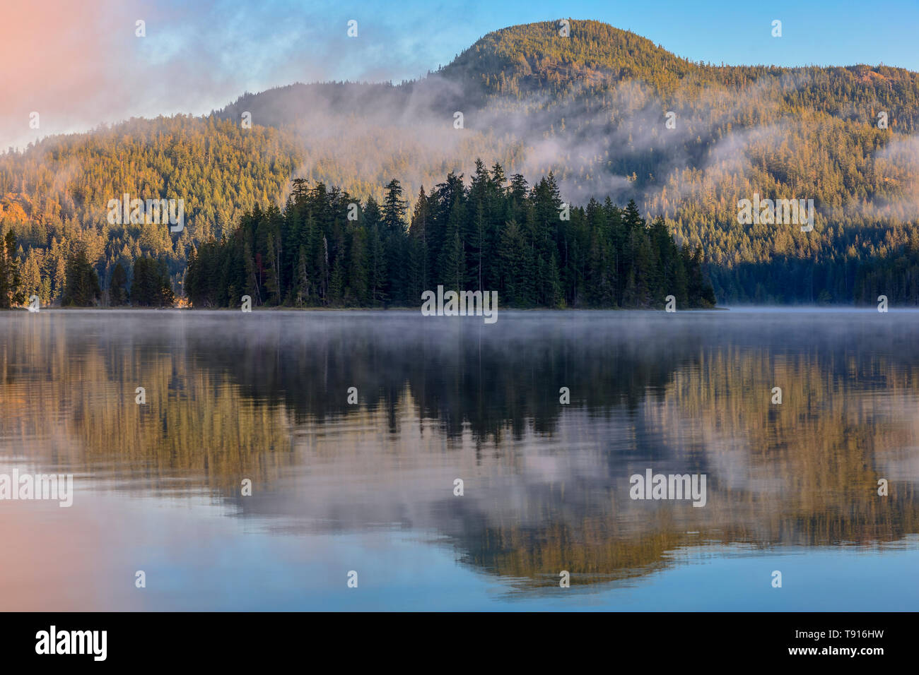 Il sole del mattino illumina il lontano riva del lago principale, nel lago principale parco provinciale sull isola di Quadra, British Columbia, Canada. Foto Stock