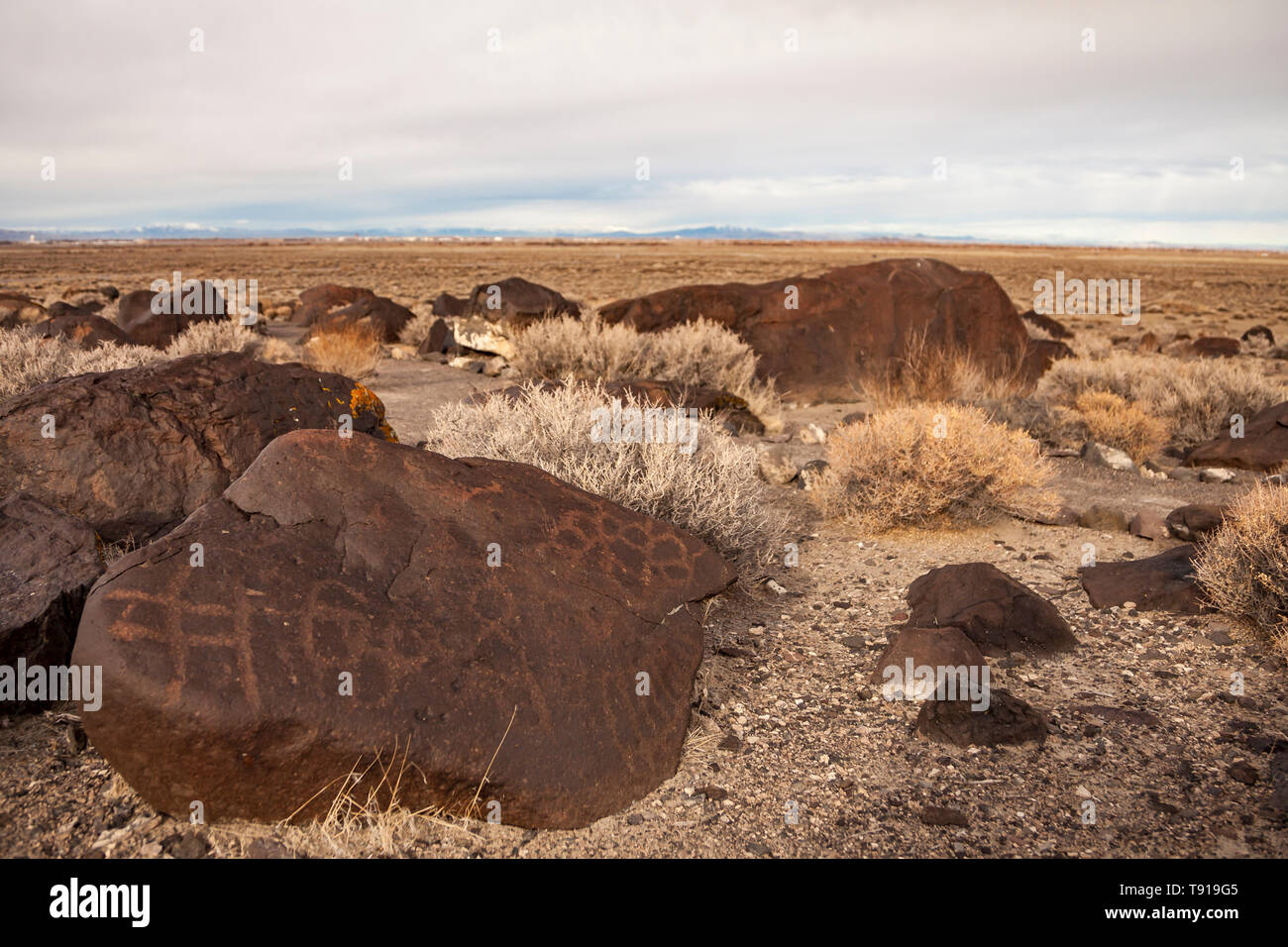 Incisioni rupestri scavate nella roccia. Punto Grimes, Nevada, STATI UNITI D'AMERICA Foto Stock